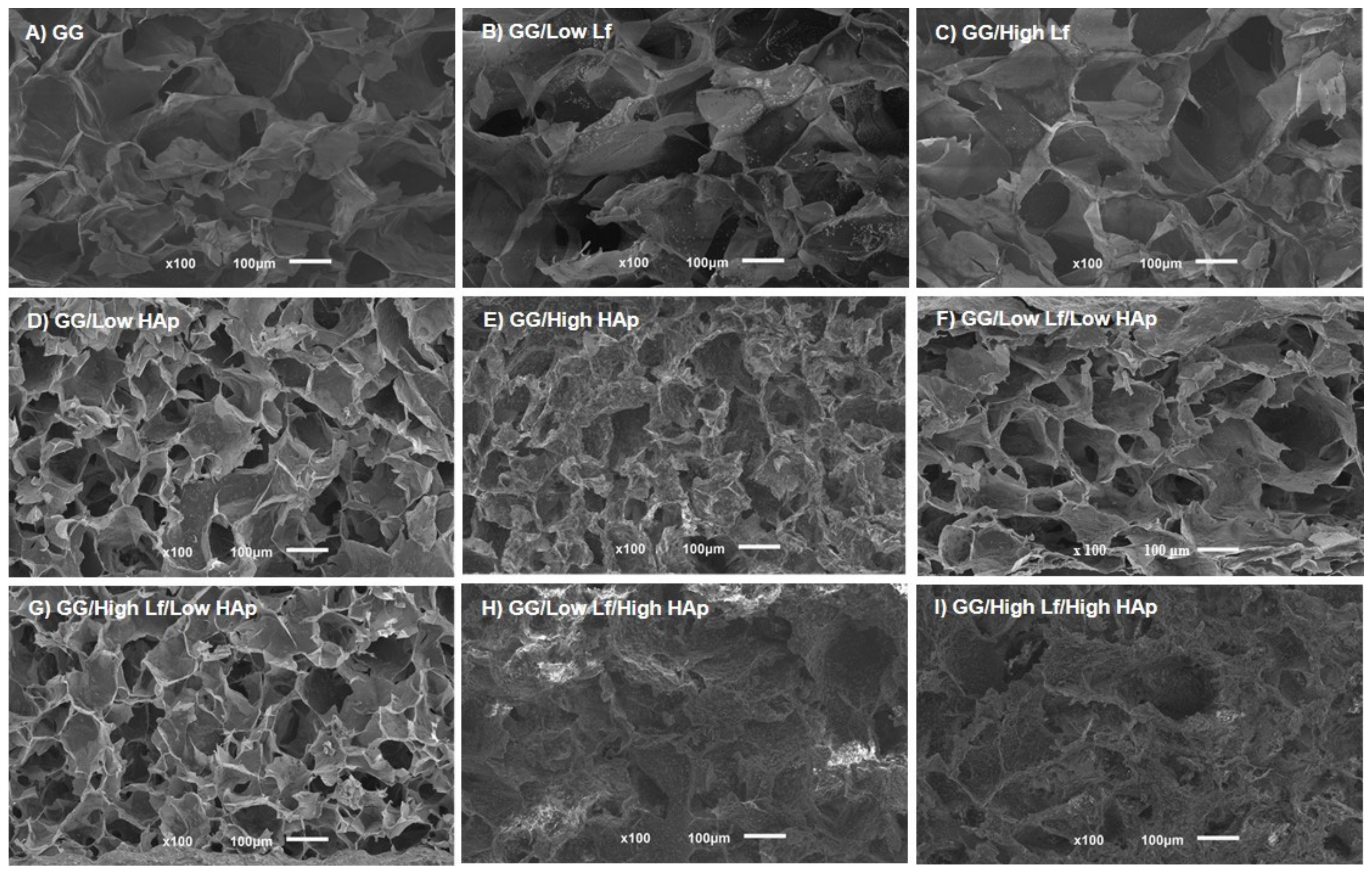 Materials 12 02074 g003