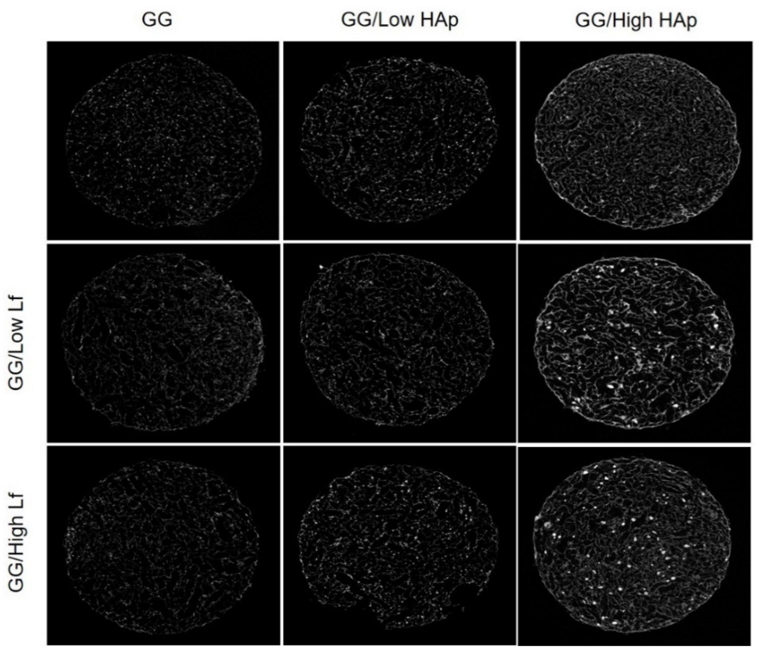 Materials 12 02074 g004