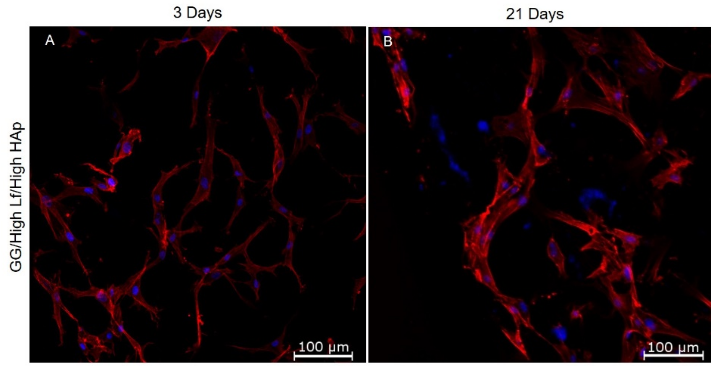 Materials 12 02074 g007