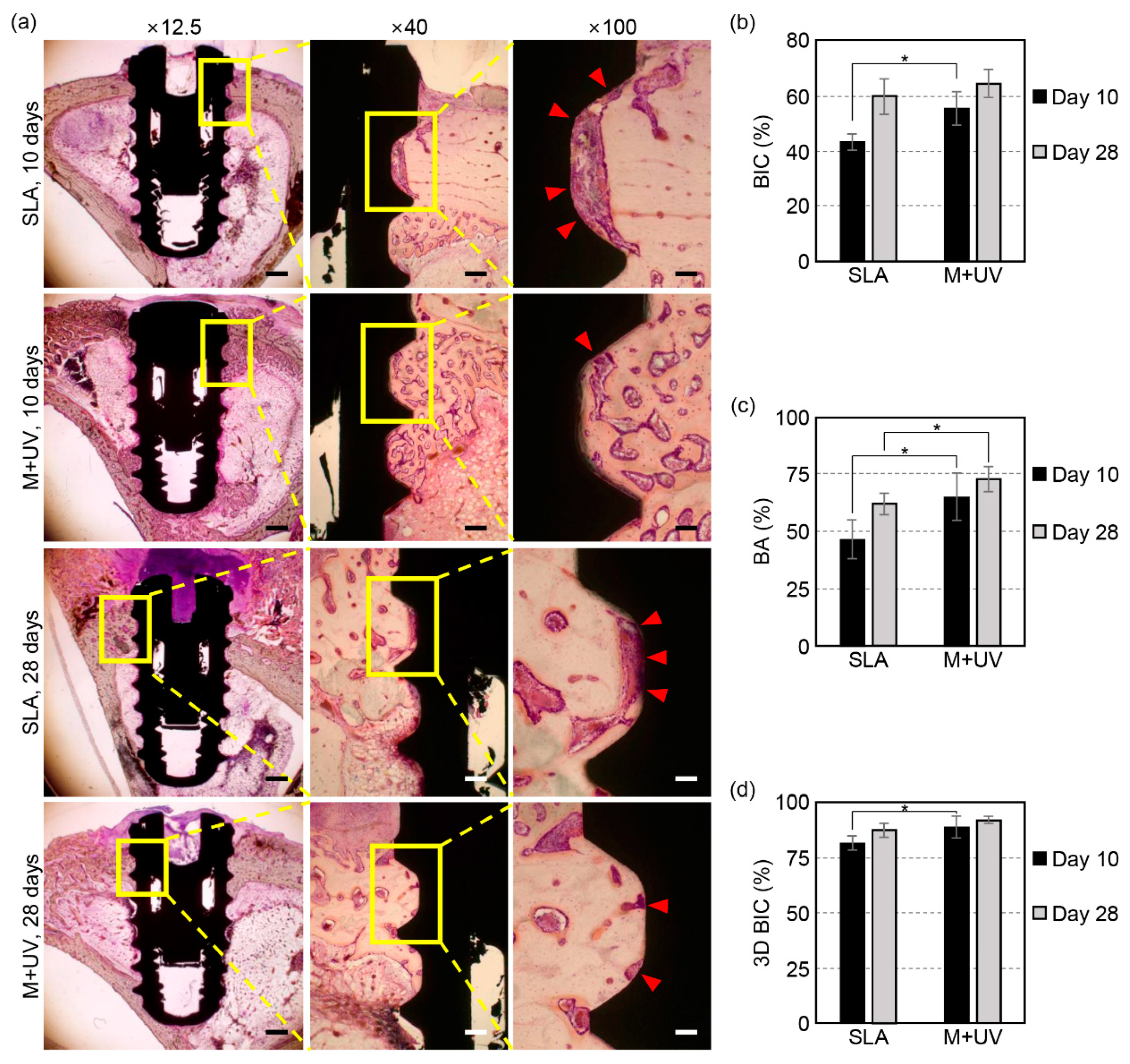 Materials 12 02078 g005