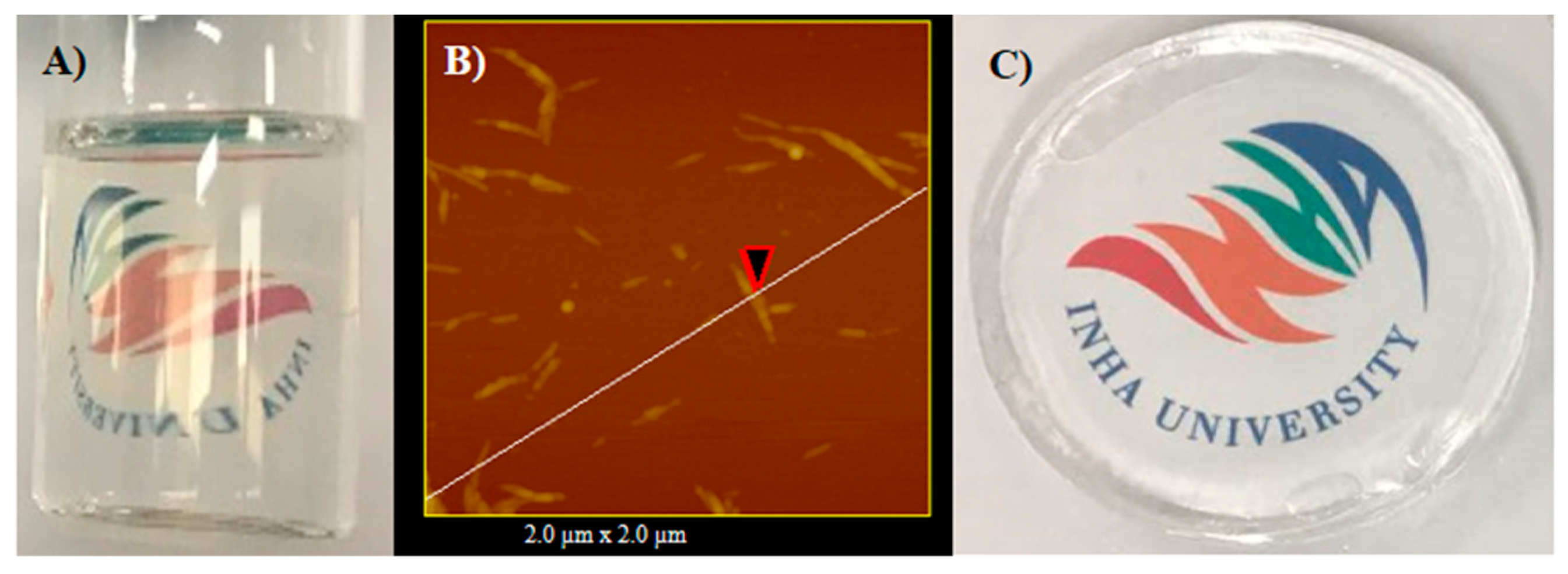 Materials 12 02080 g002 Materials 12 02080 g002