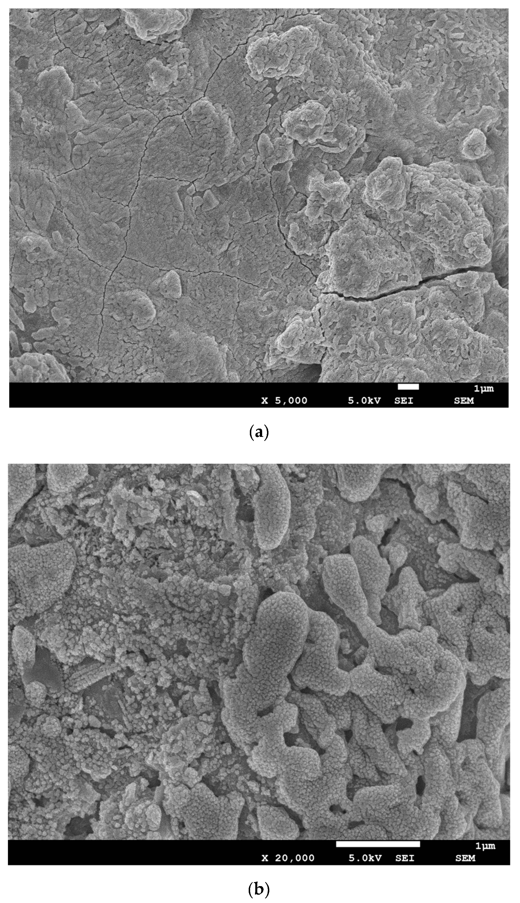 Materials 12 02089 g006a Materials 12 02089 g006a