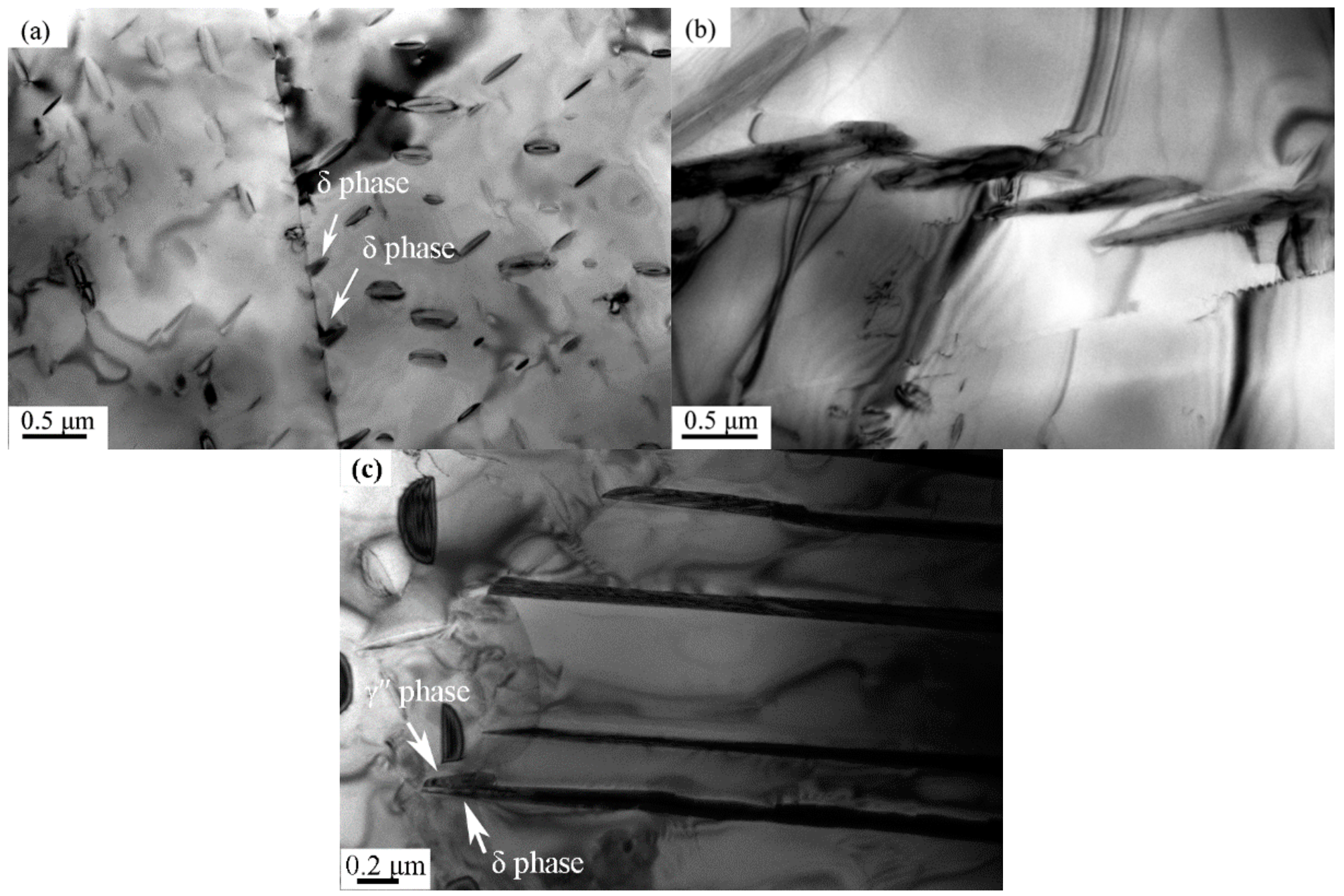 Materials 12 02096 g002