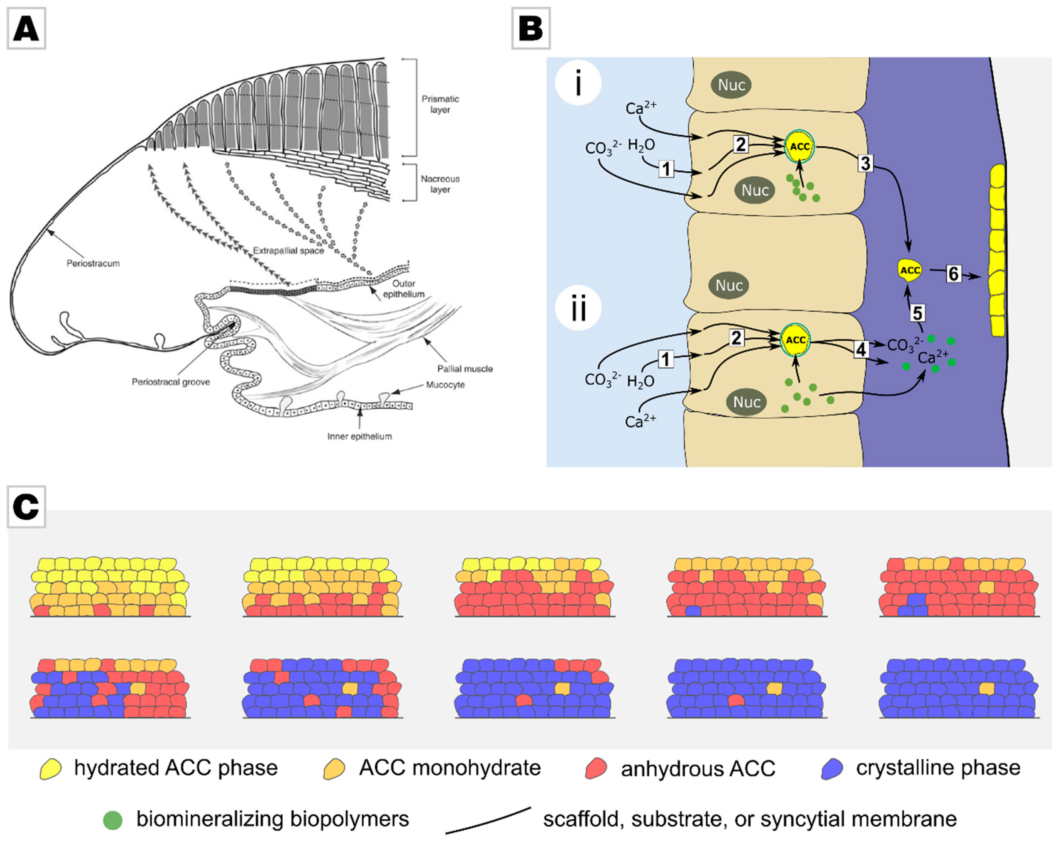 Materials 12 02117 g001