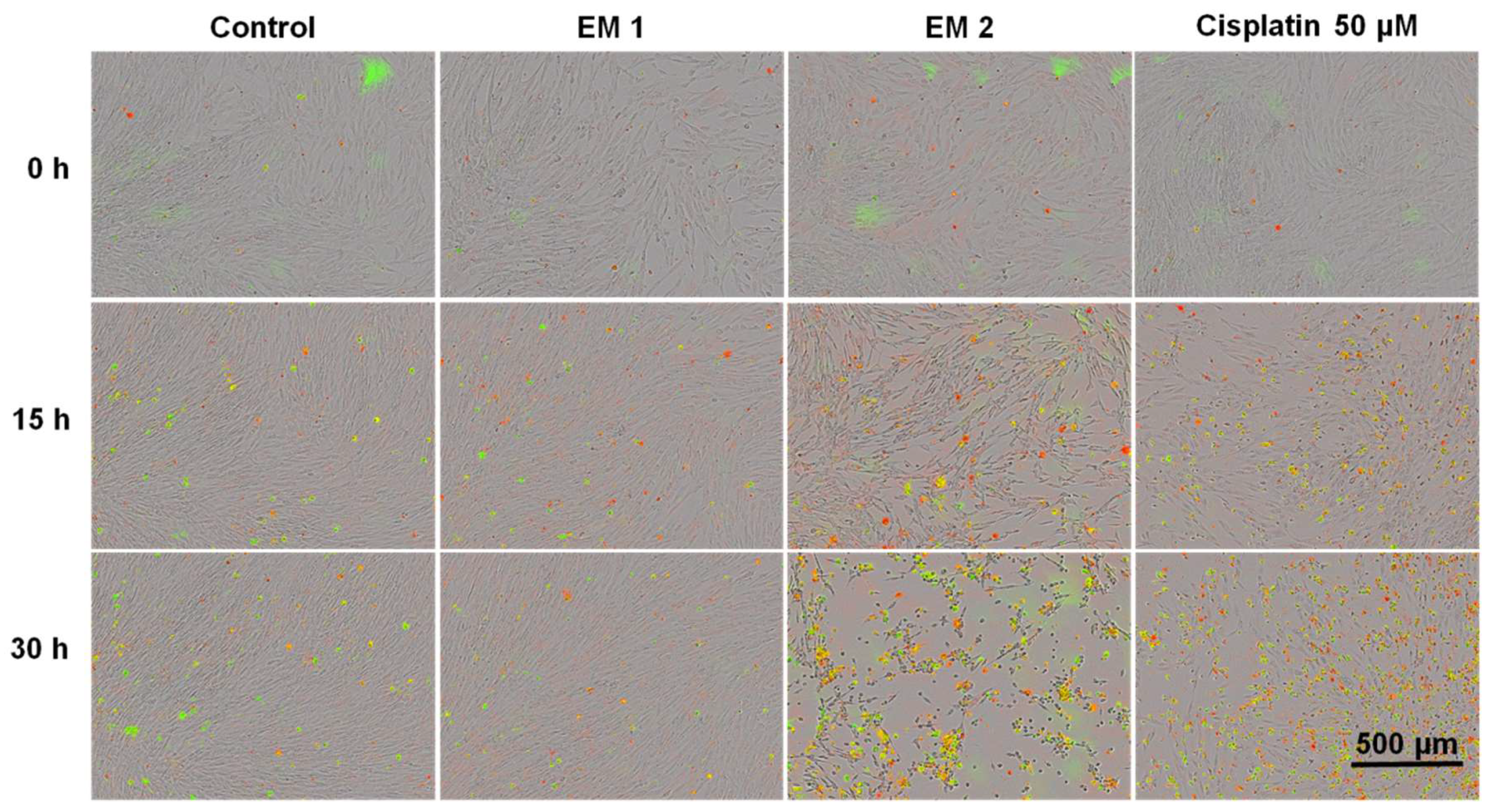 Materials 12 02125 g007