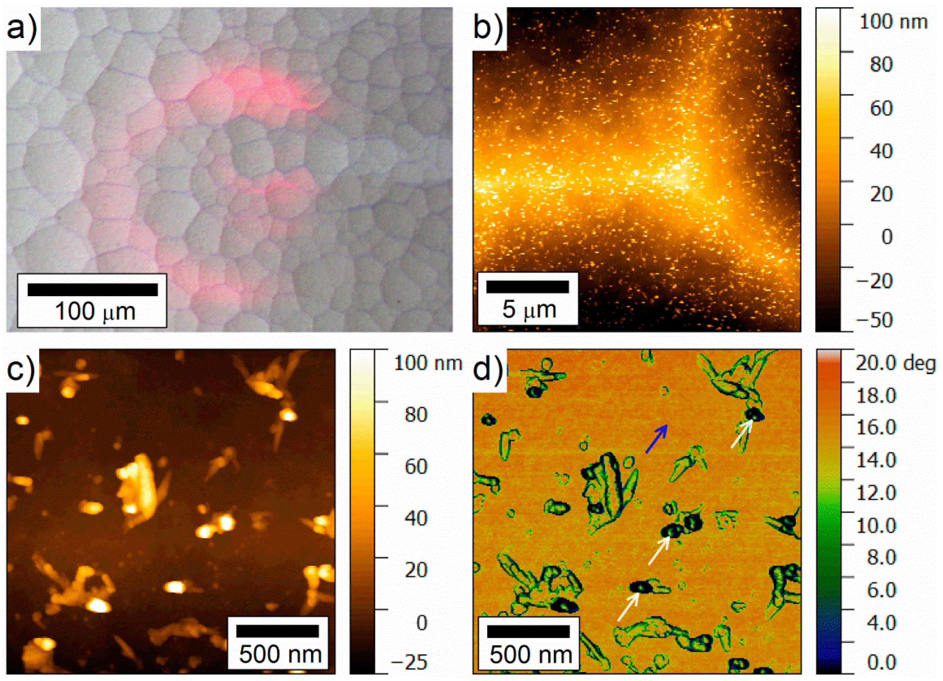Materials 12 02134 g017