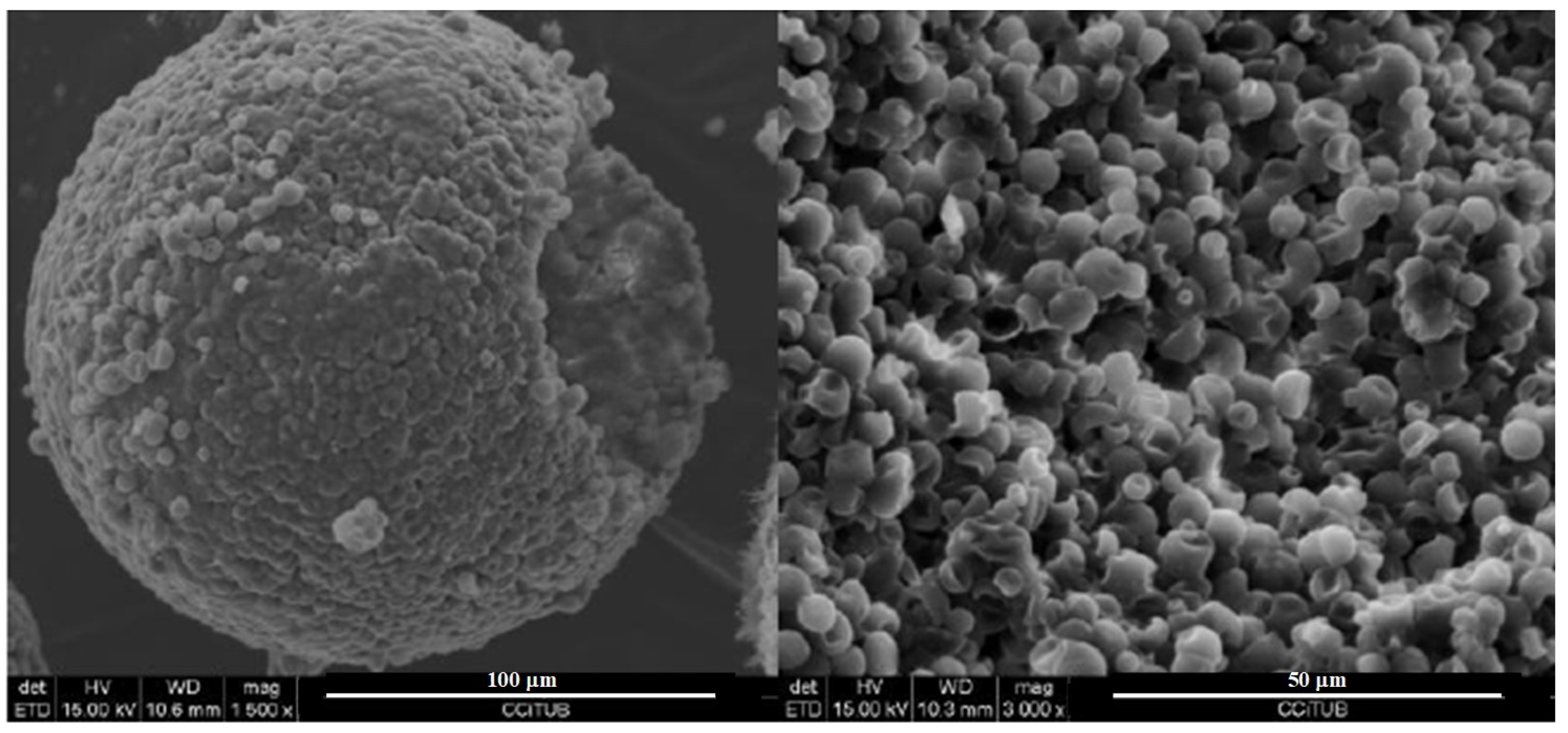 Materials 12 02144 g001