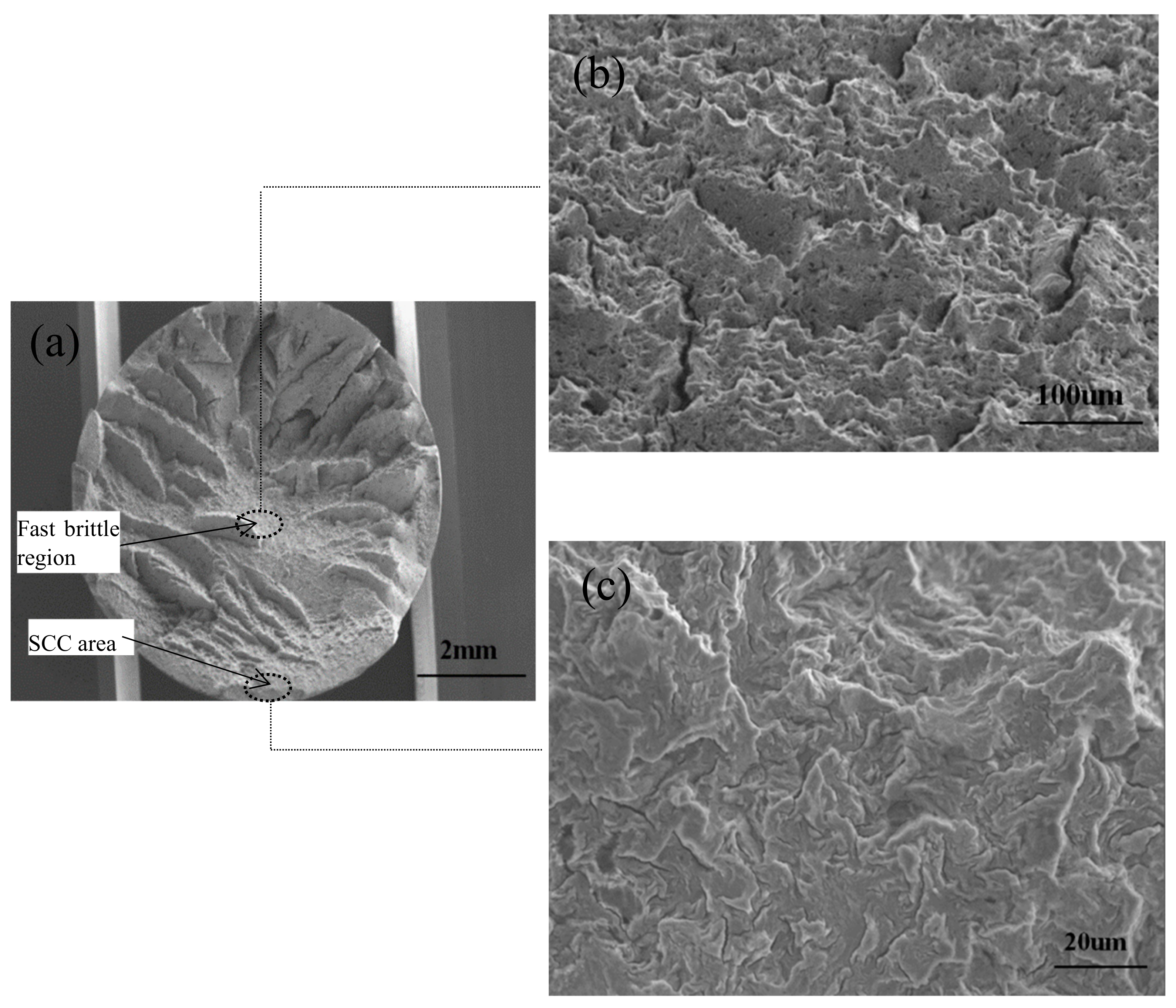 Materials 12 02146 g017