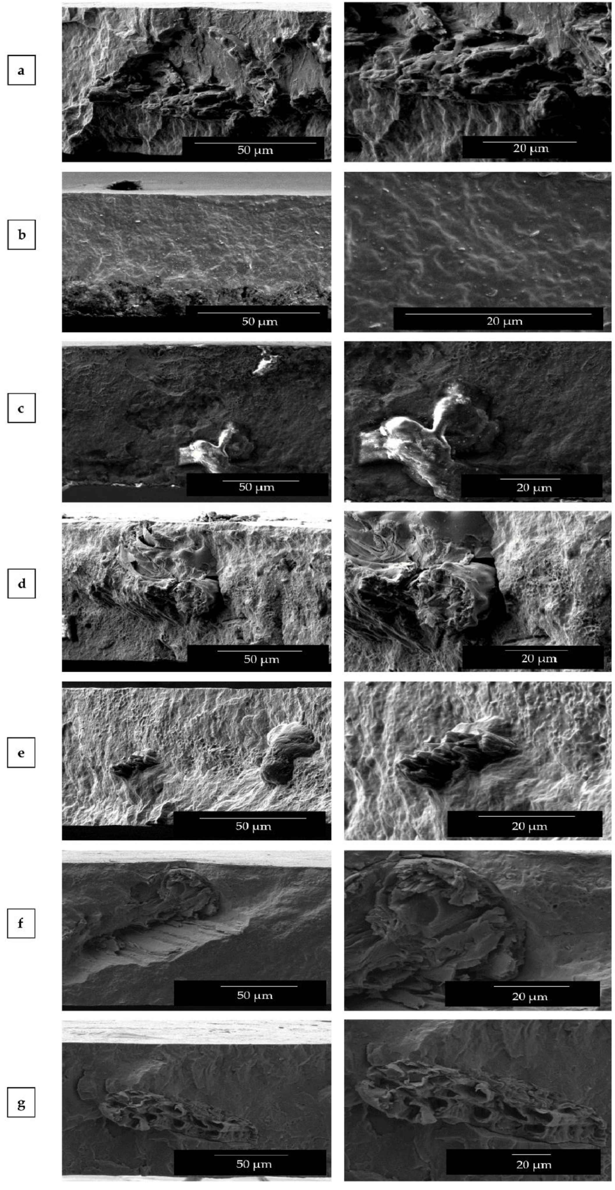 Materials 12 02152 g003