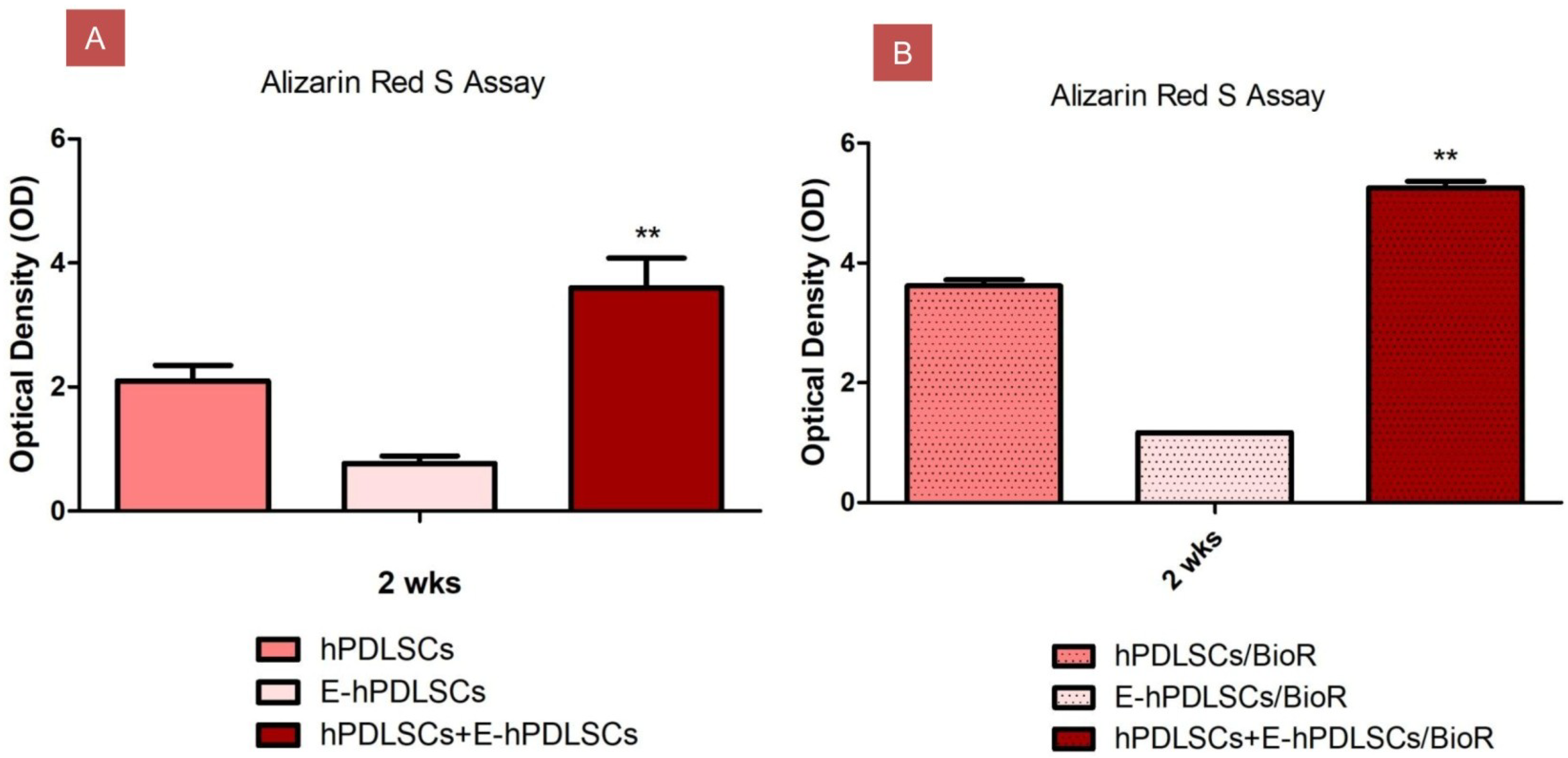 Materials 12 02157 g005