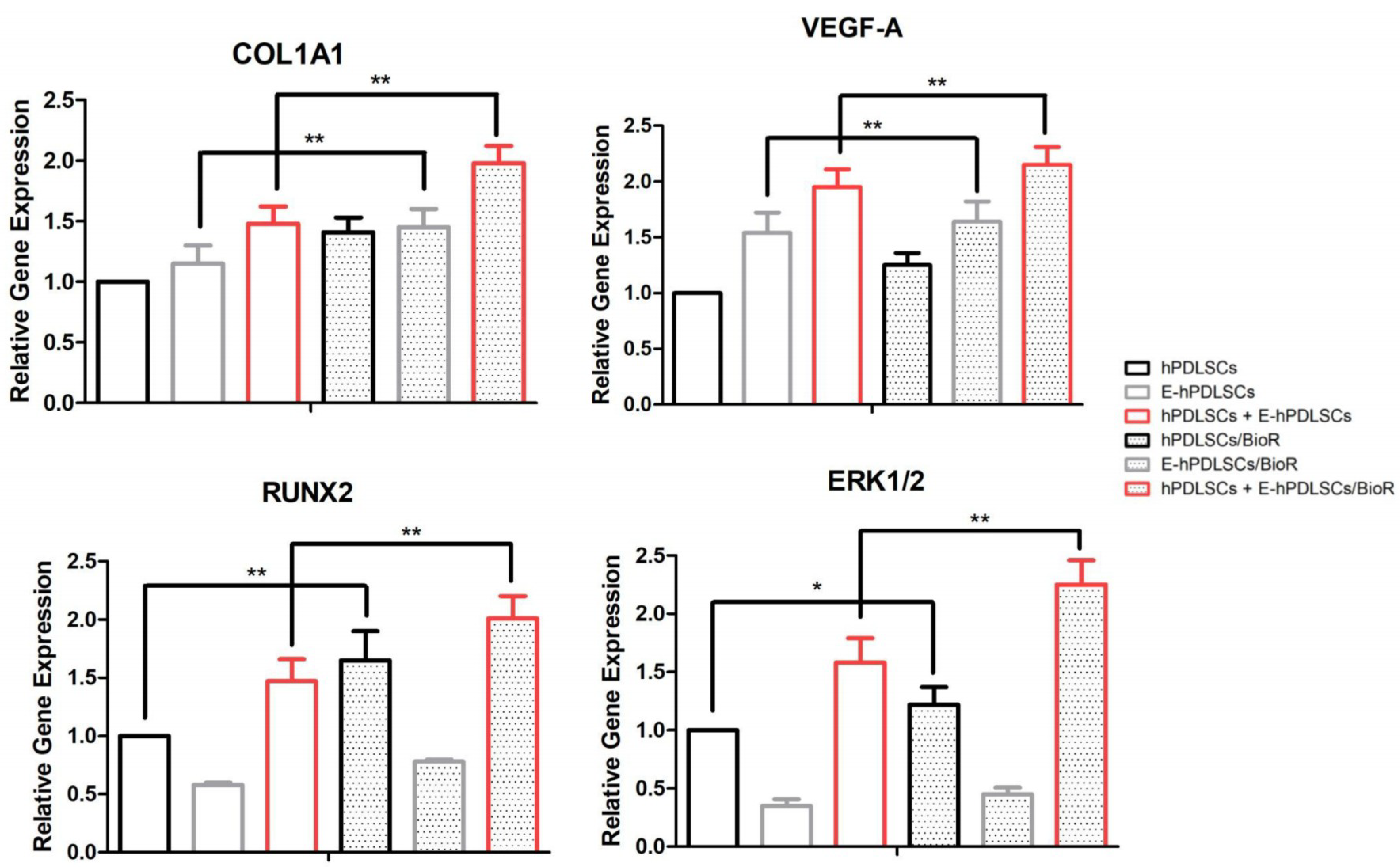 Materials 12 02157 g006