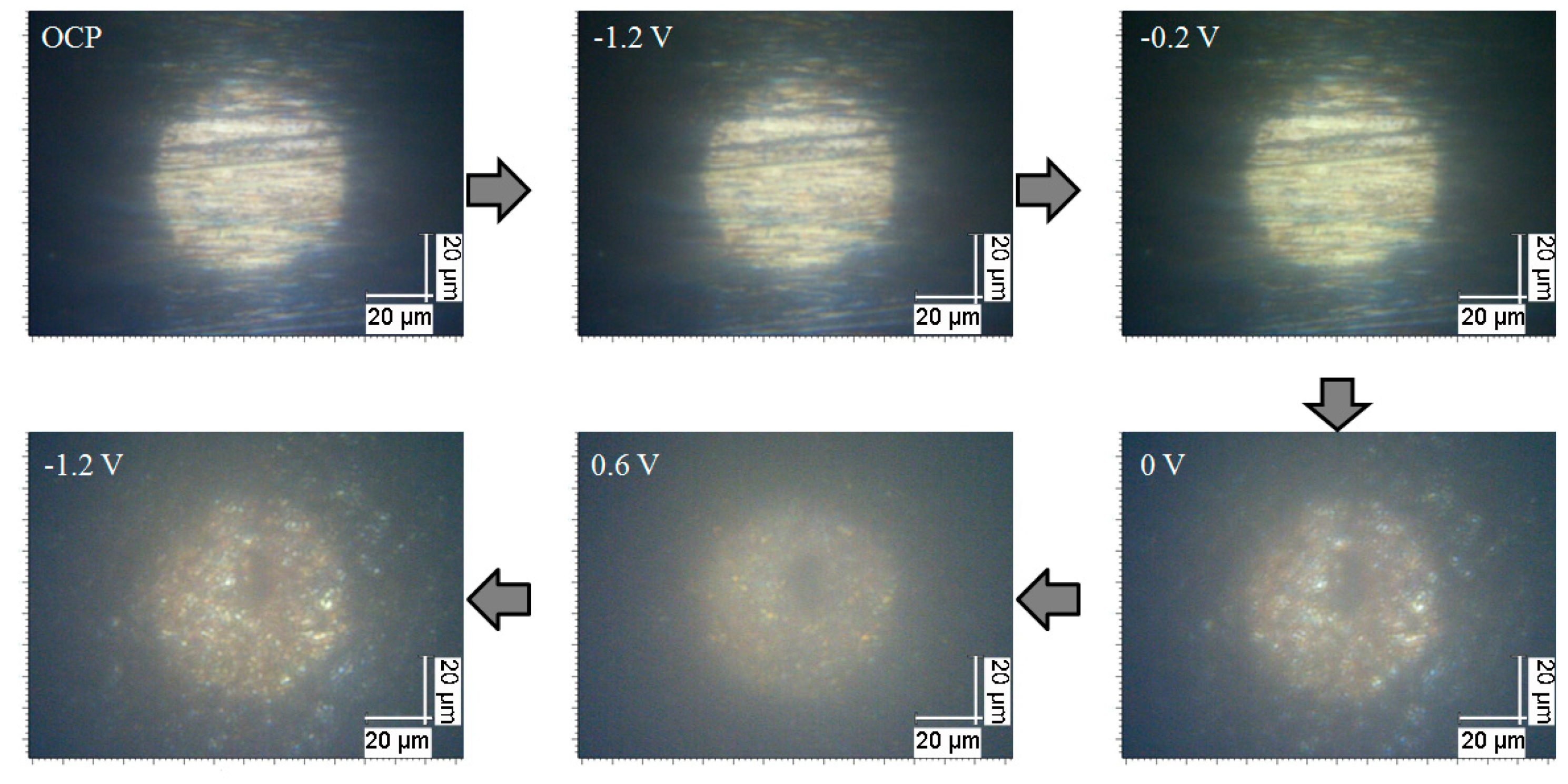 Materials 12 02164 g002