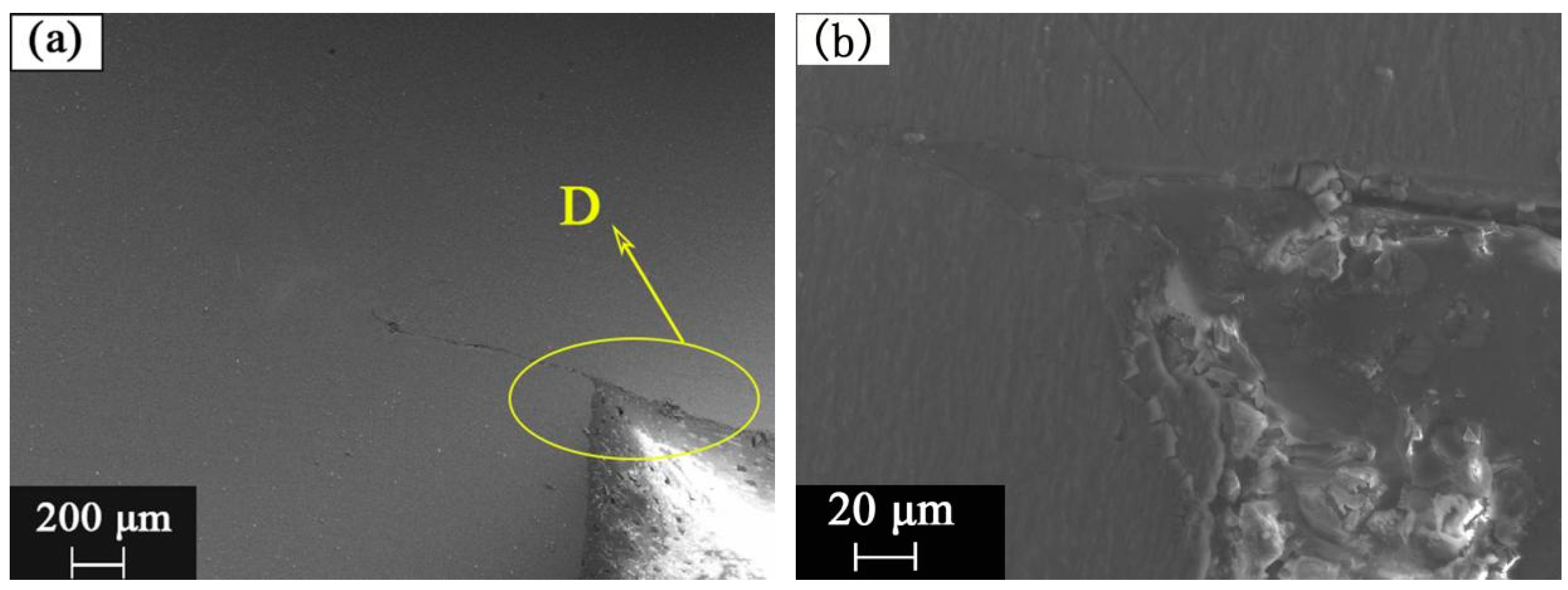 Materials 12 02167 g008