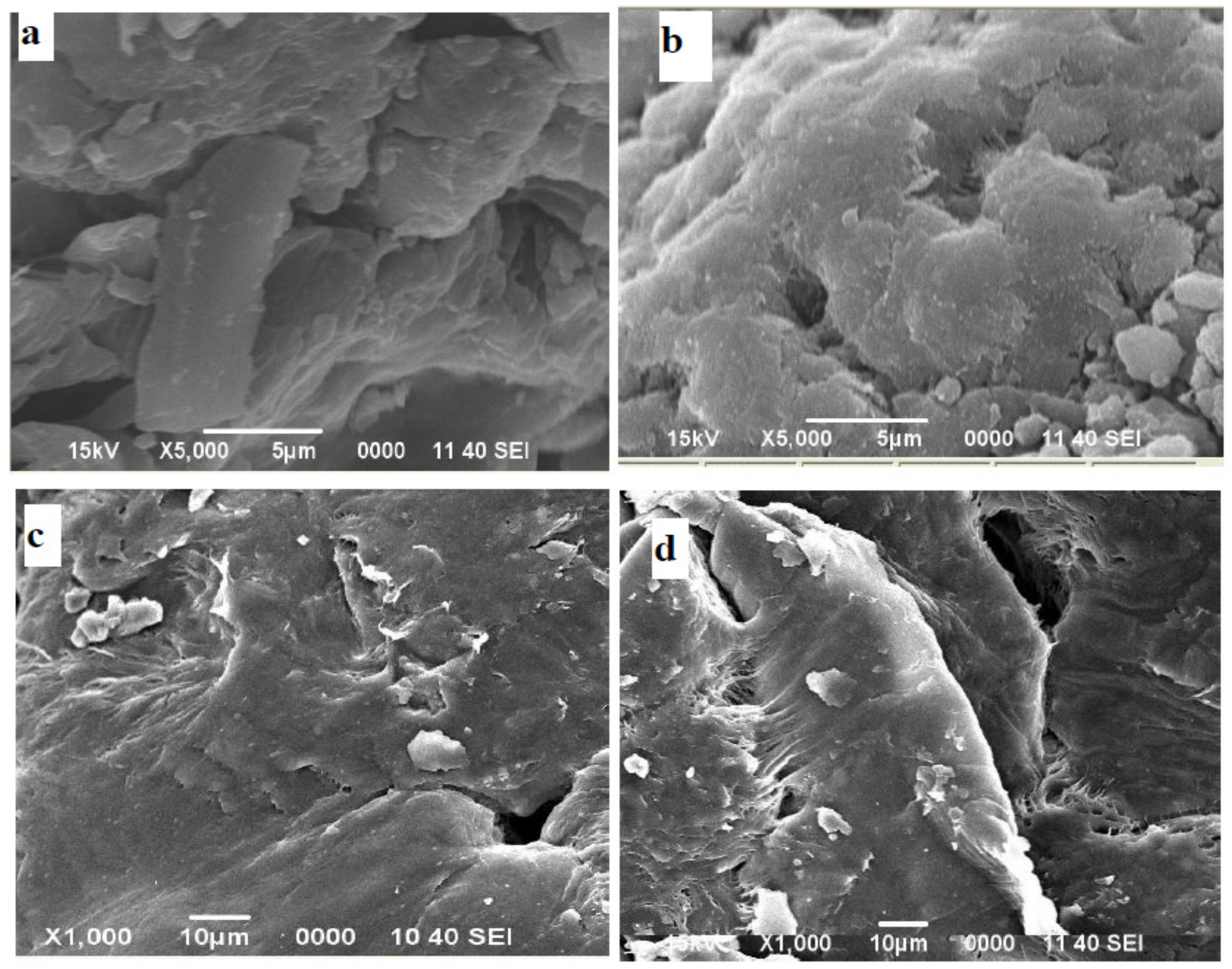 Materials 12 02168 g003