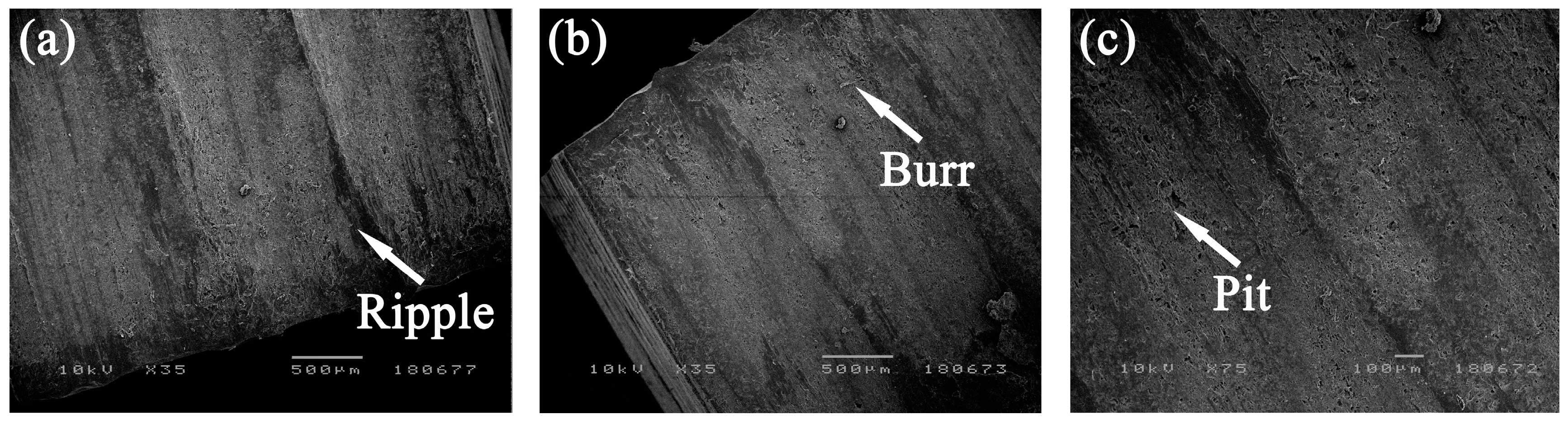 Materials 12 02174 g006