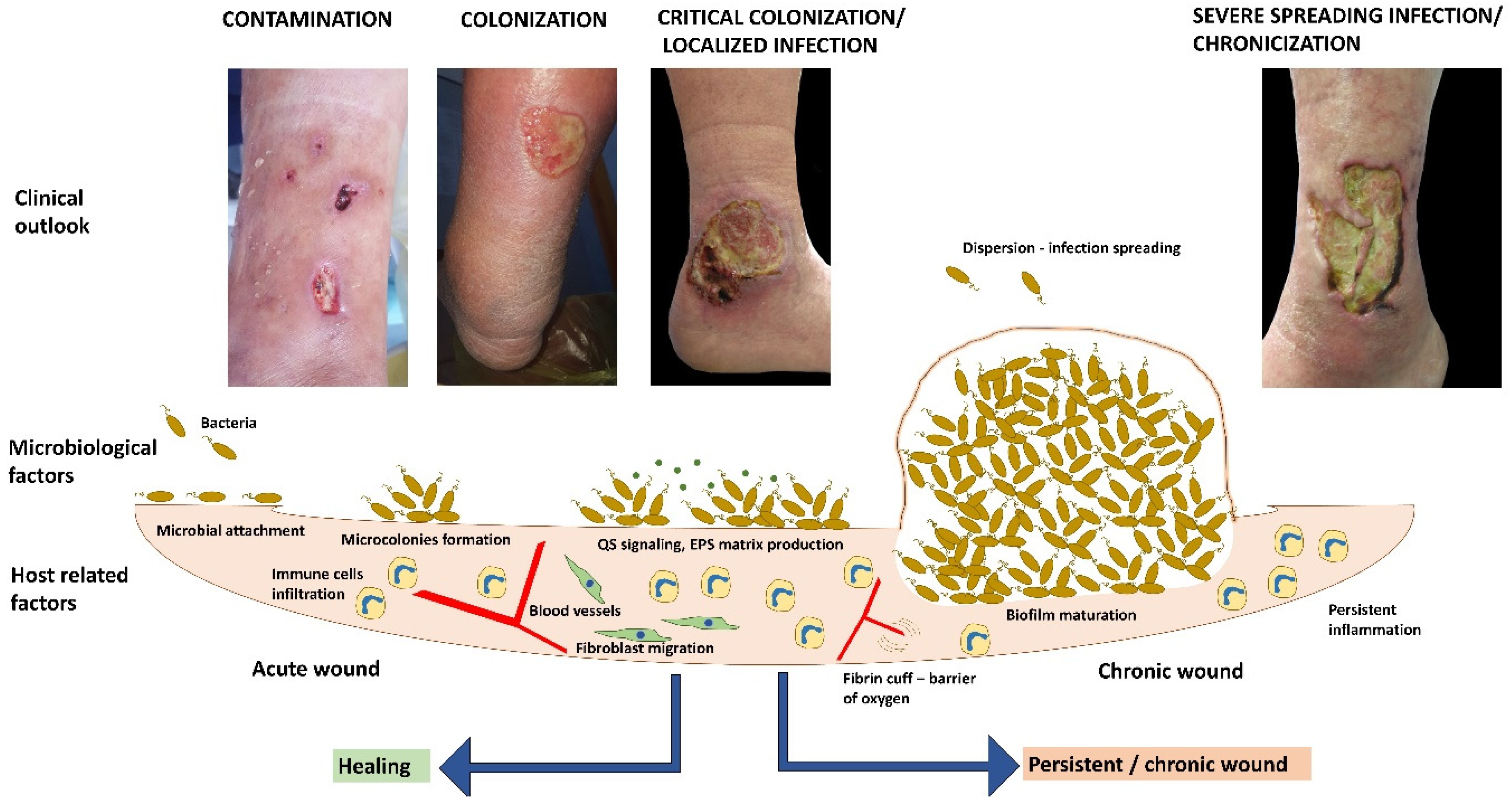 Materials 12 02176 g001 Materials 12 02176 g001