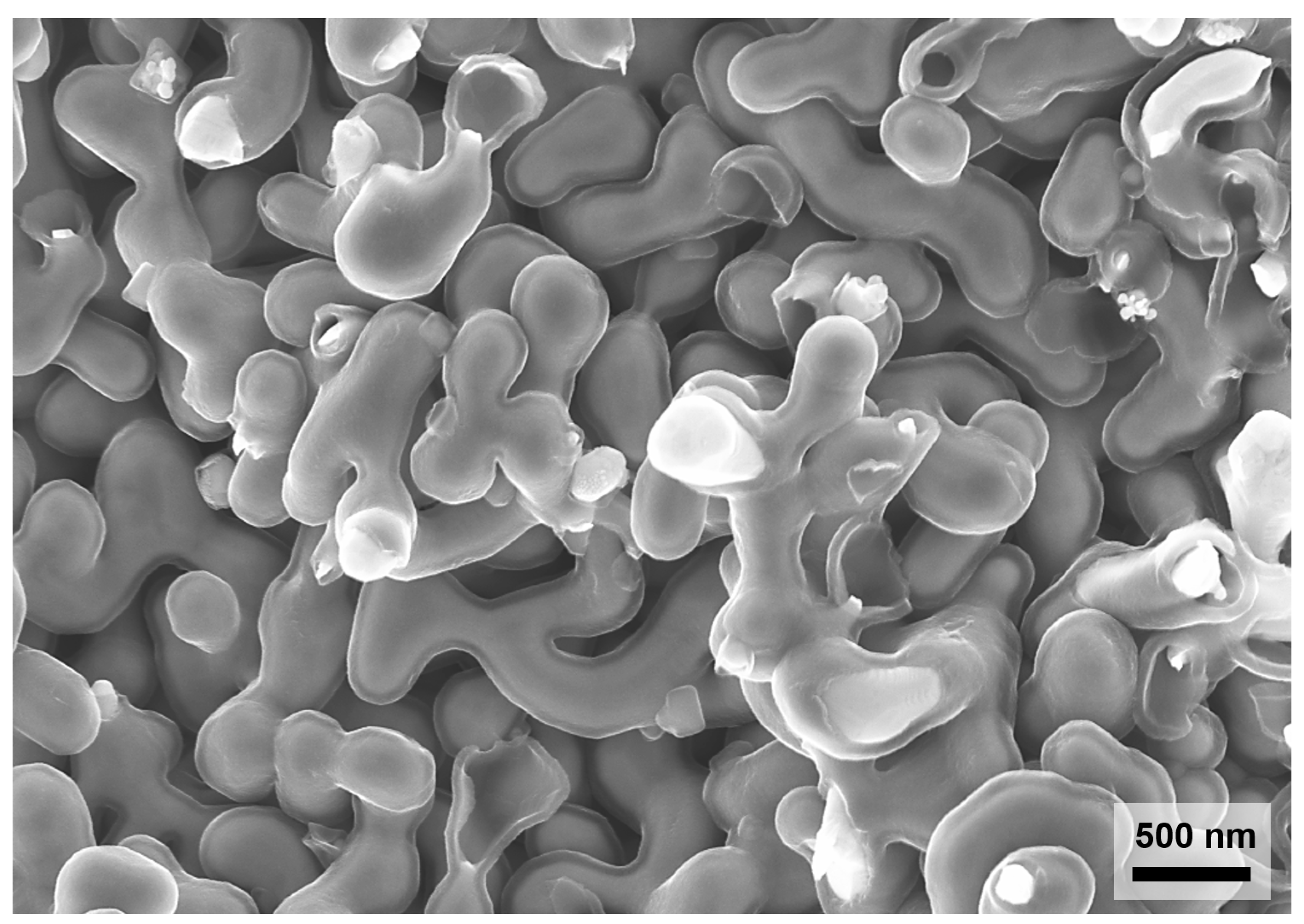 Materials 12 02178 g001