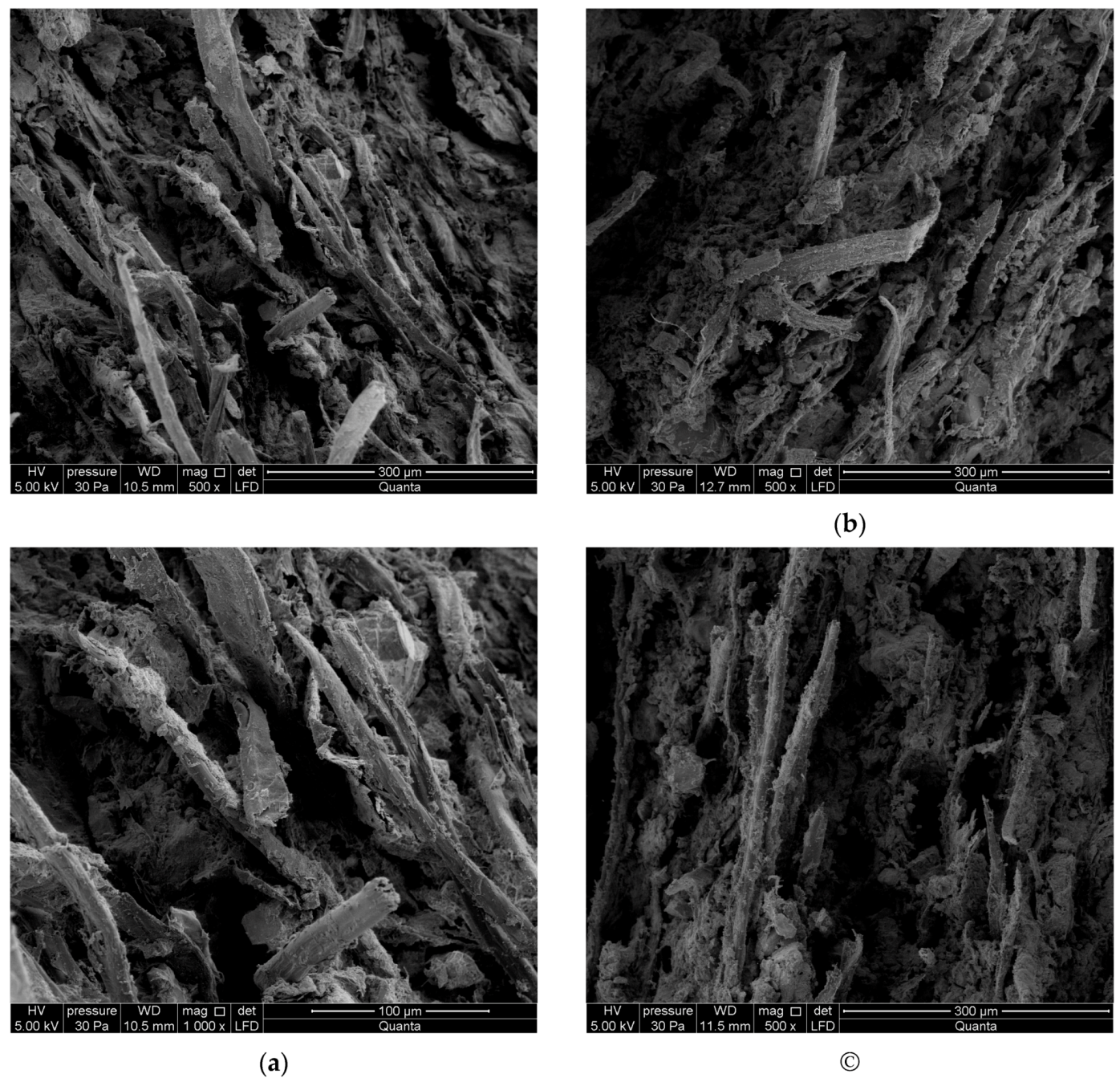 Materials 12 02181 g012