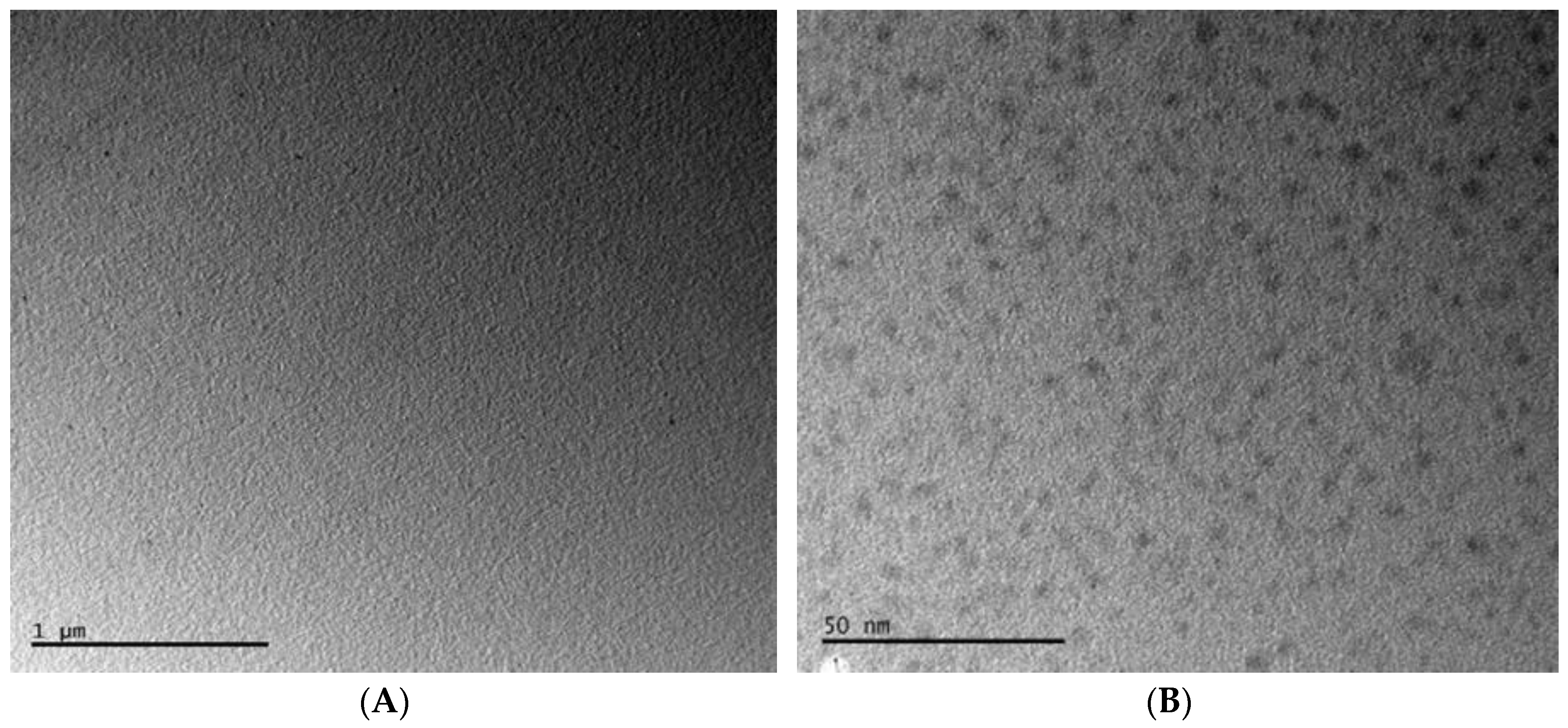 Materials 12 02189 g003