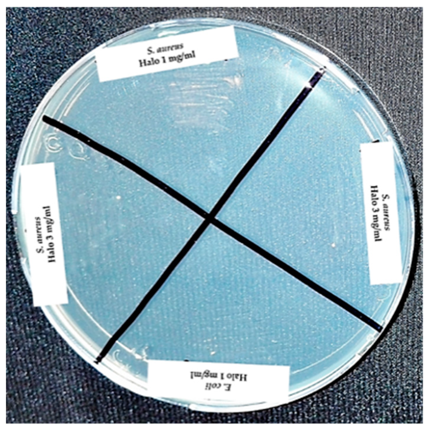 Materials 12 02202 g008