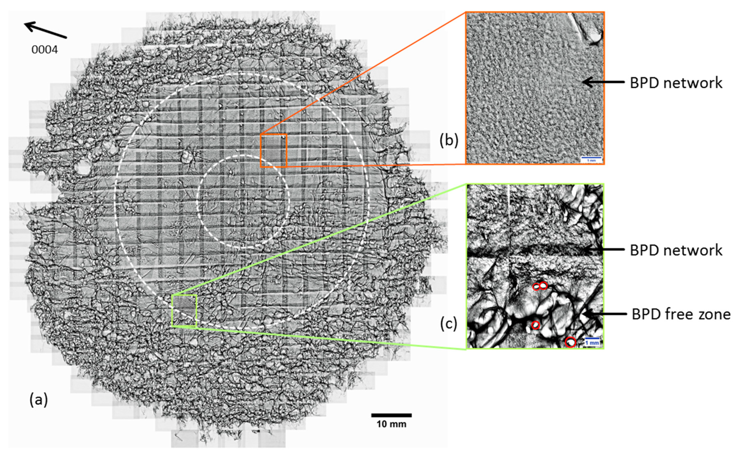 Materials 12 02207 g002