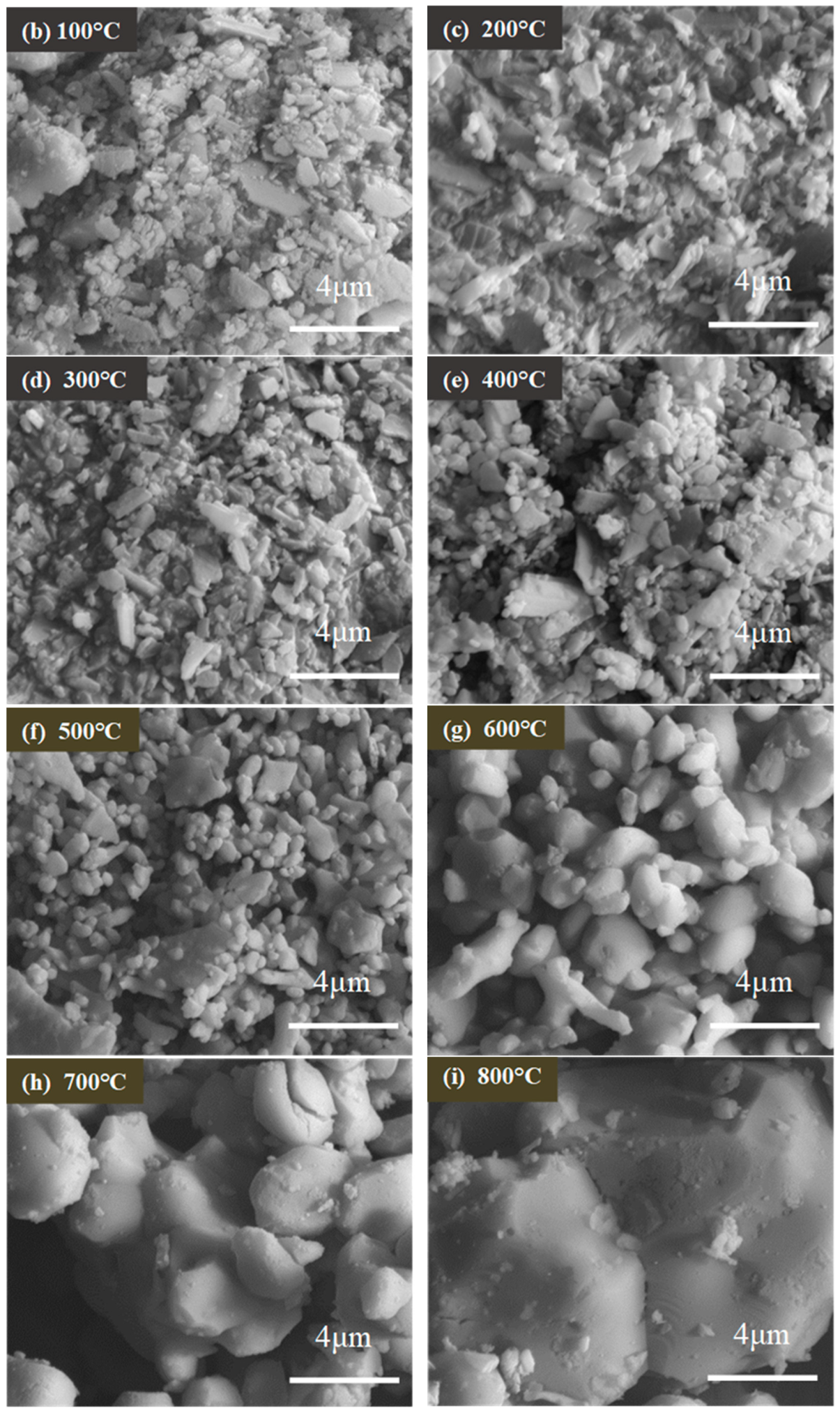 Materials 12 02213 g005b Materials 12 02213 g005b