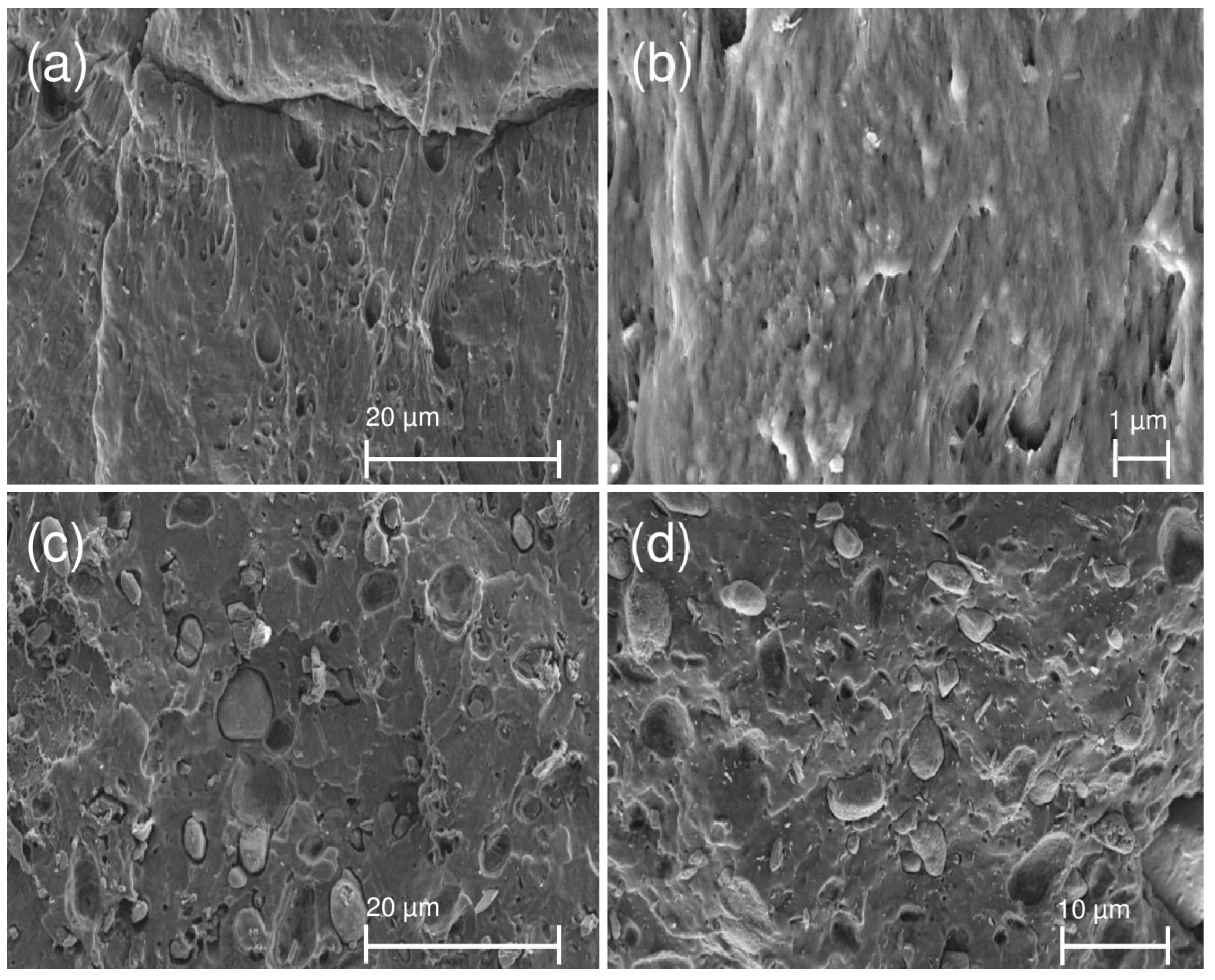 Materials 12 02239 g002