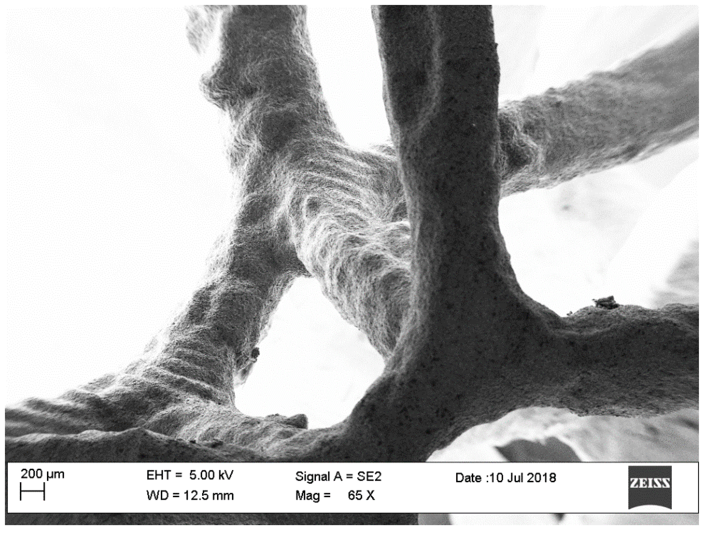 Materials 12 02261 g005