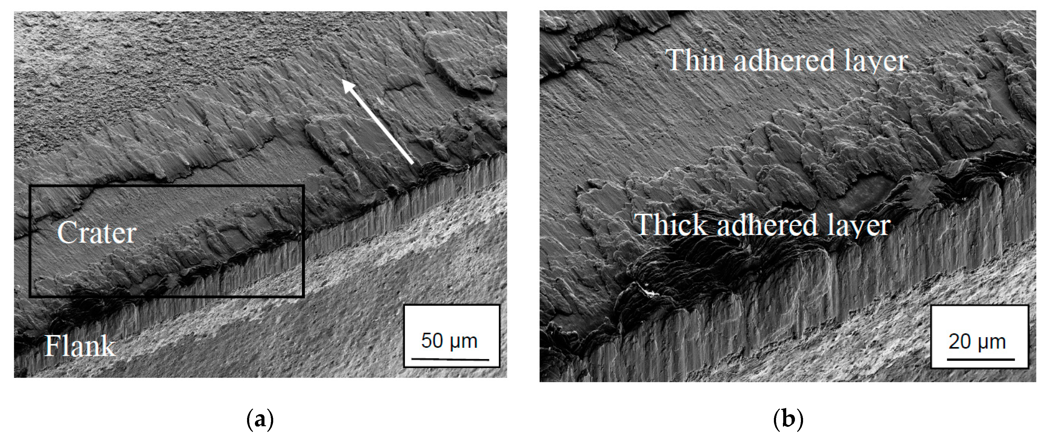 Materials 12 02271 g004