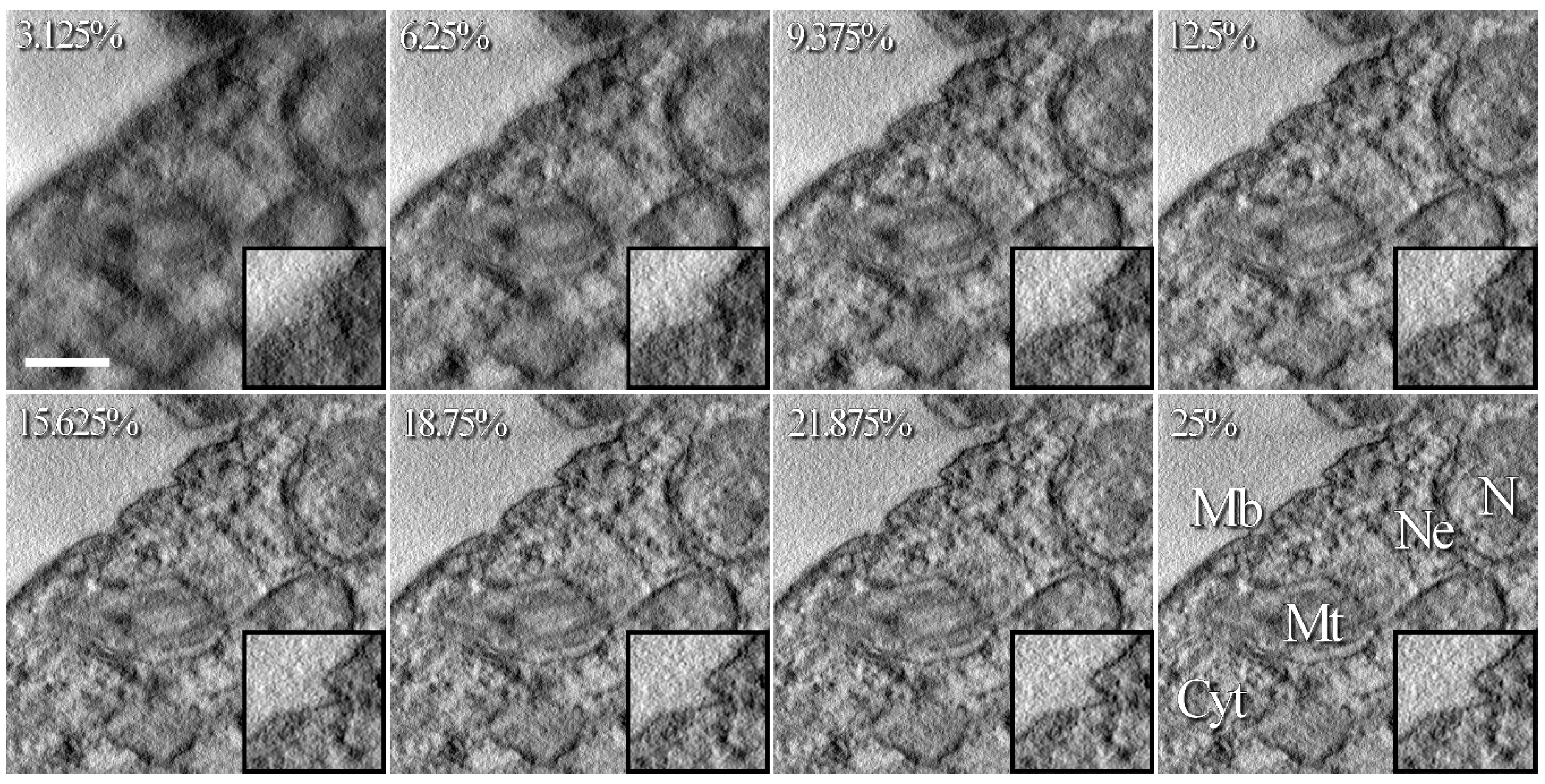 Materials 12 02281 g005