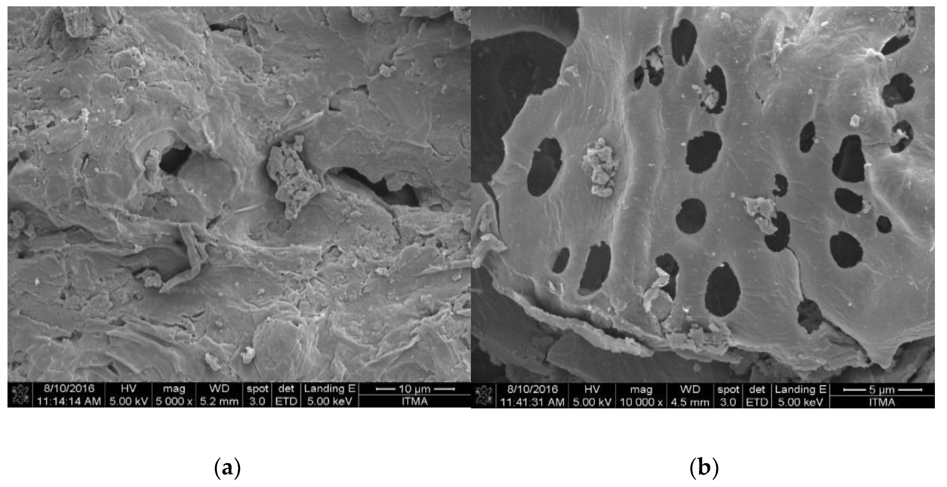 Materials 12 02293 g002