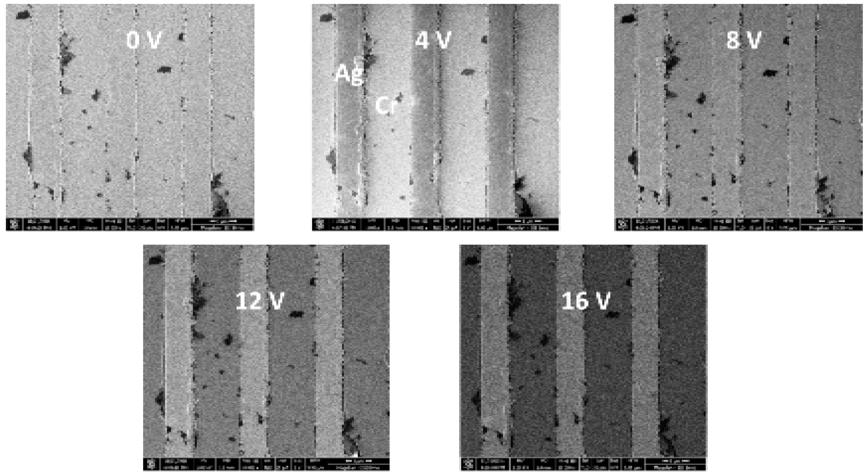 Materials 12 02307 g010