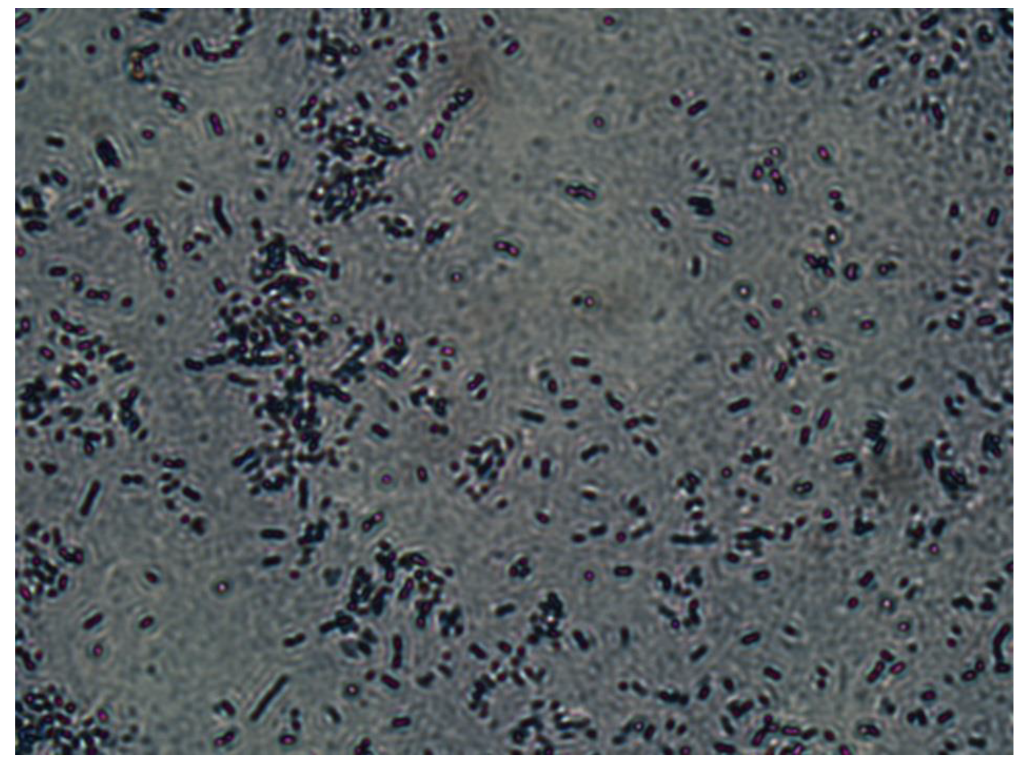 Materials 12 02313 g001