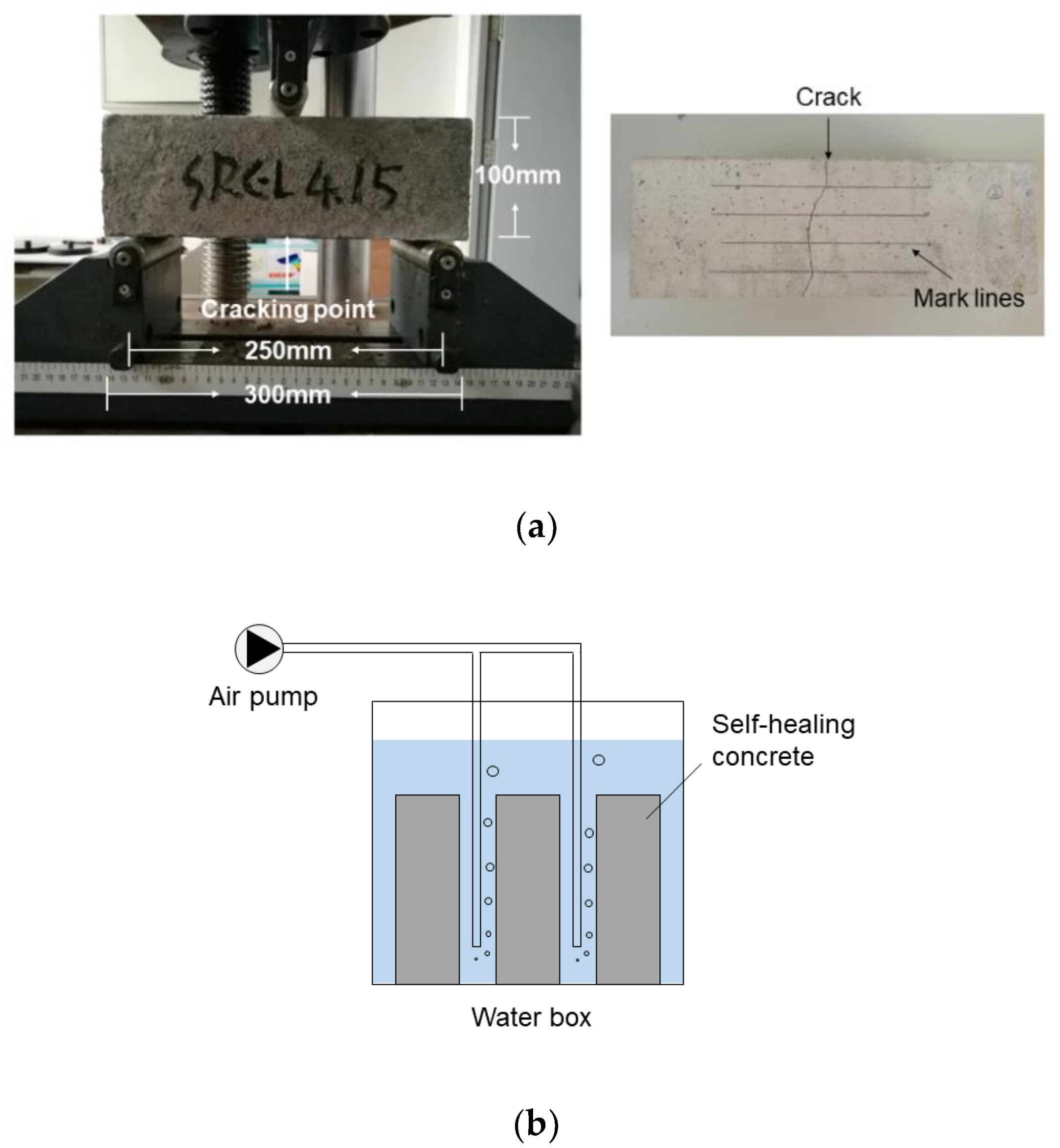 Materials 12 02313 g004