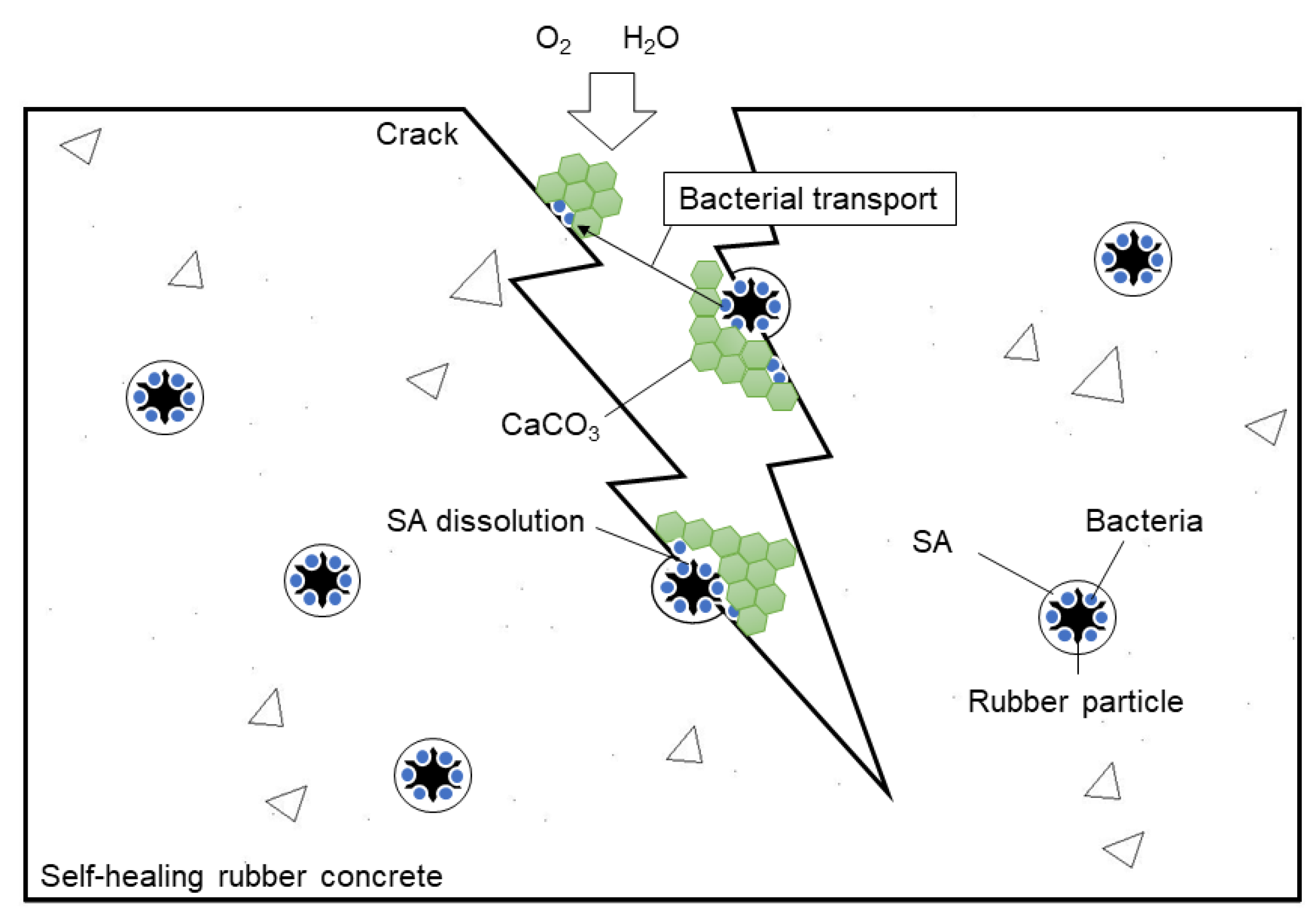 Materials 12 02313 g012