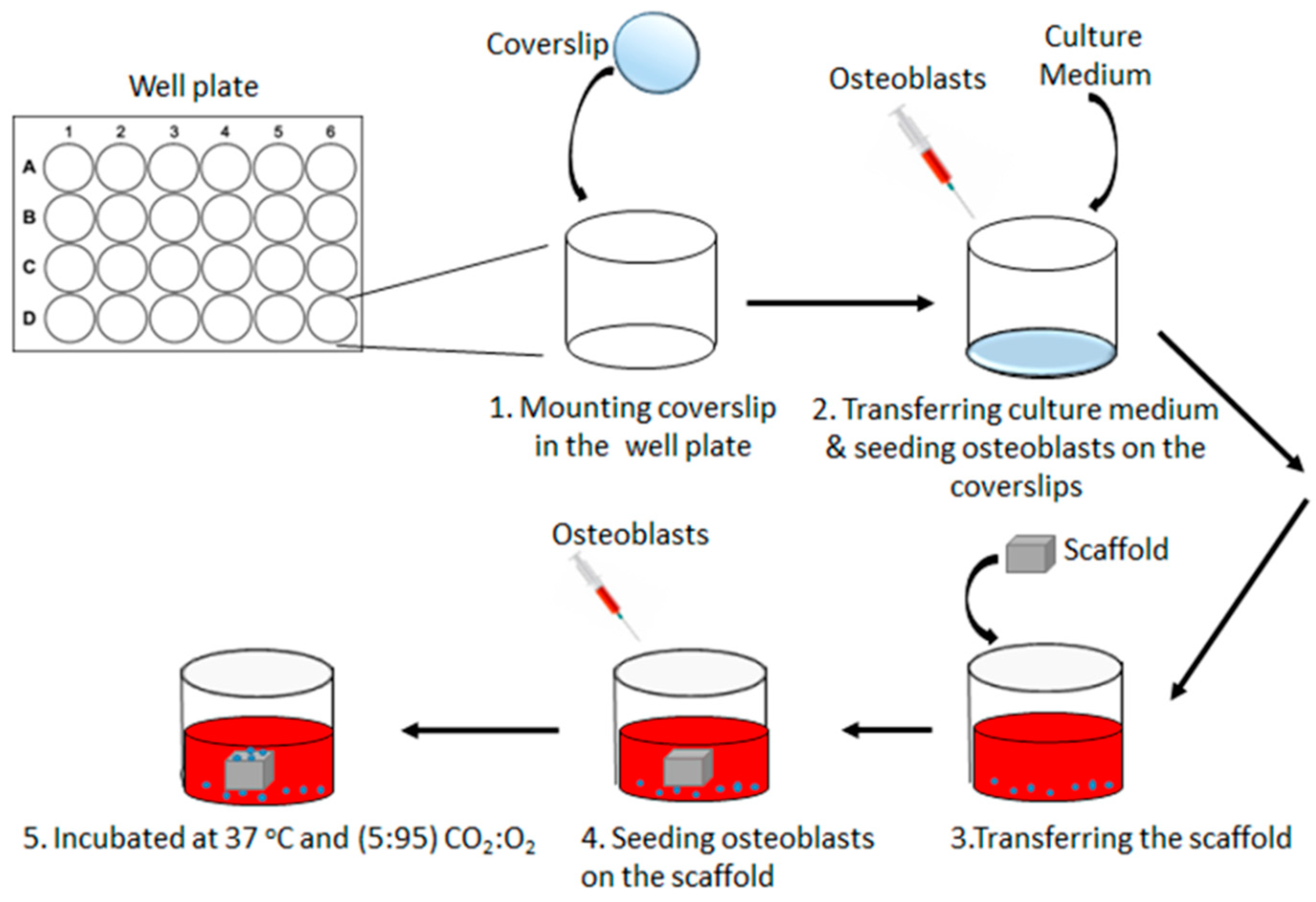 Materials 12 02321 g001