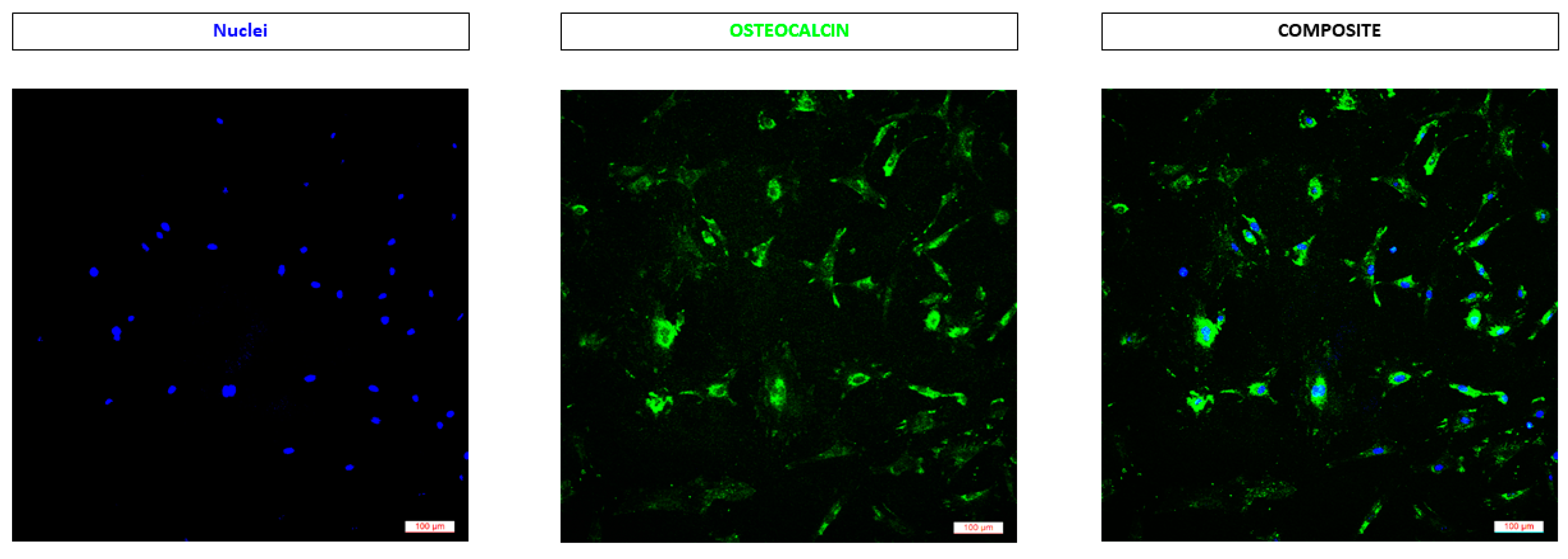 Materials 12 02321 g006