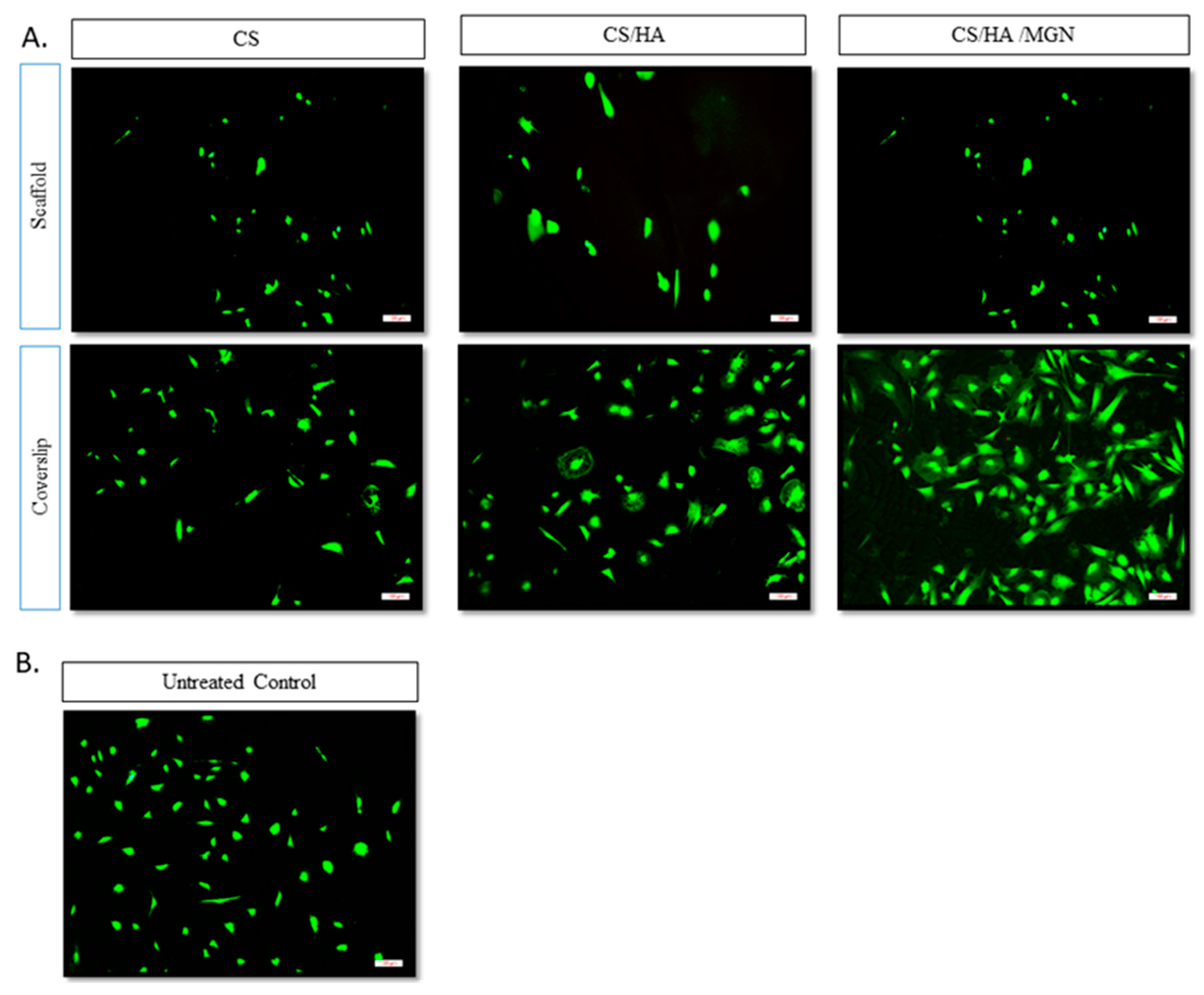Materials 12 02321 g007
