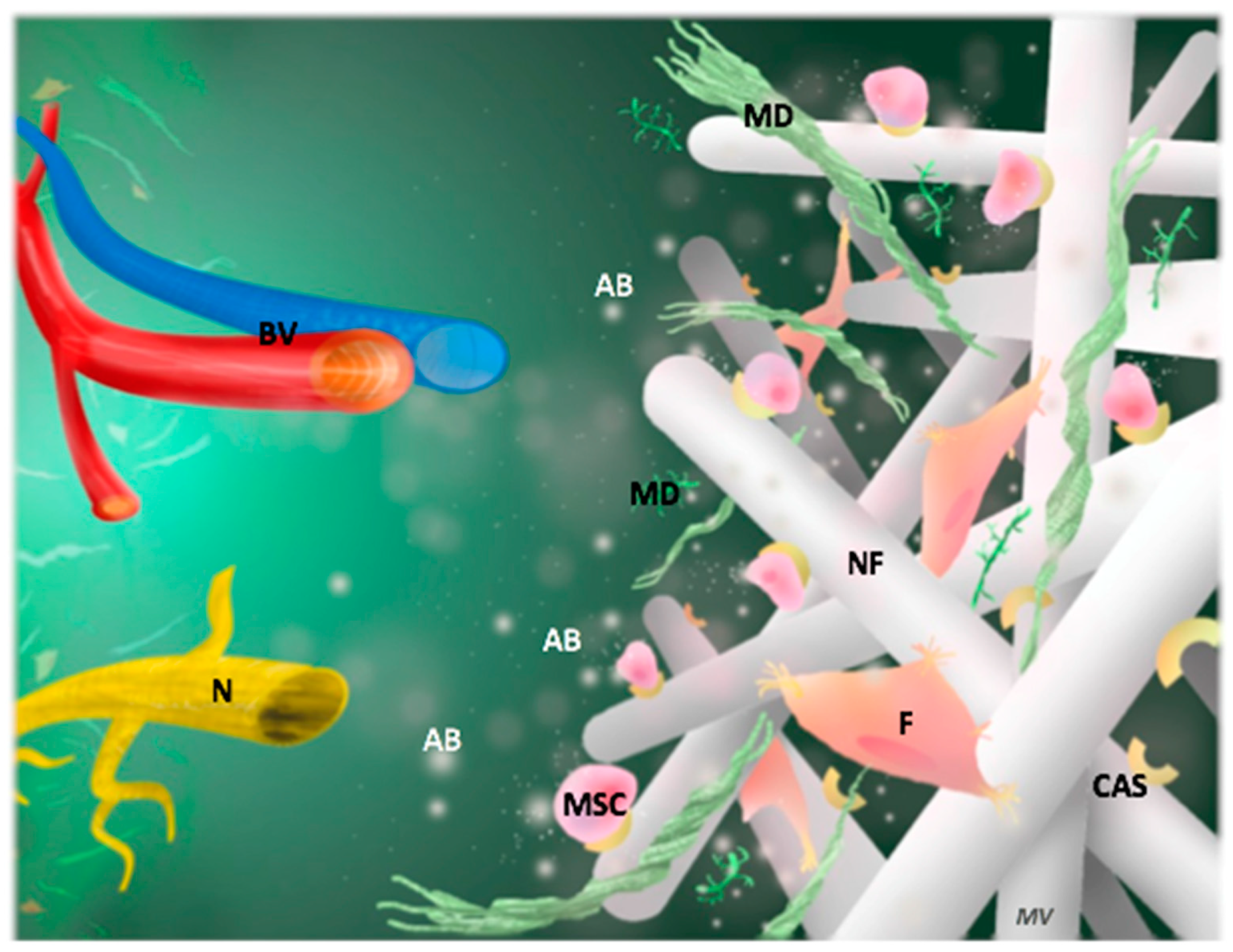 Materials 12 02347 g002