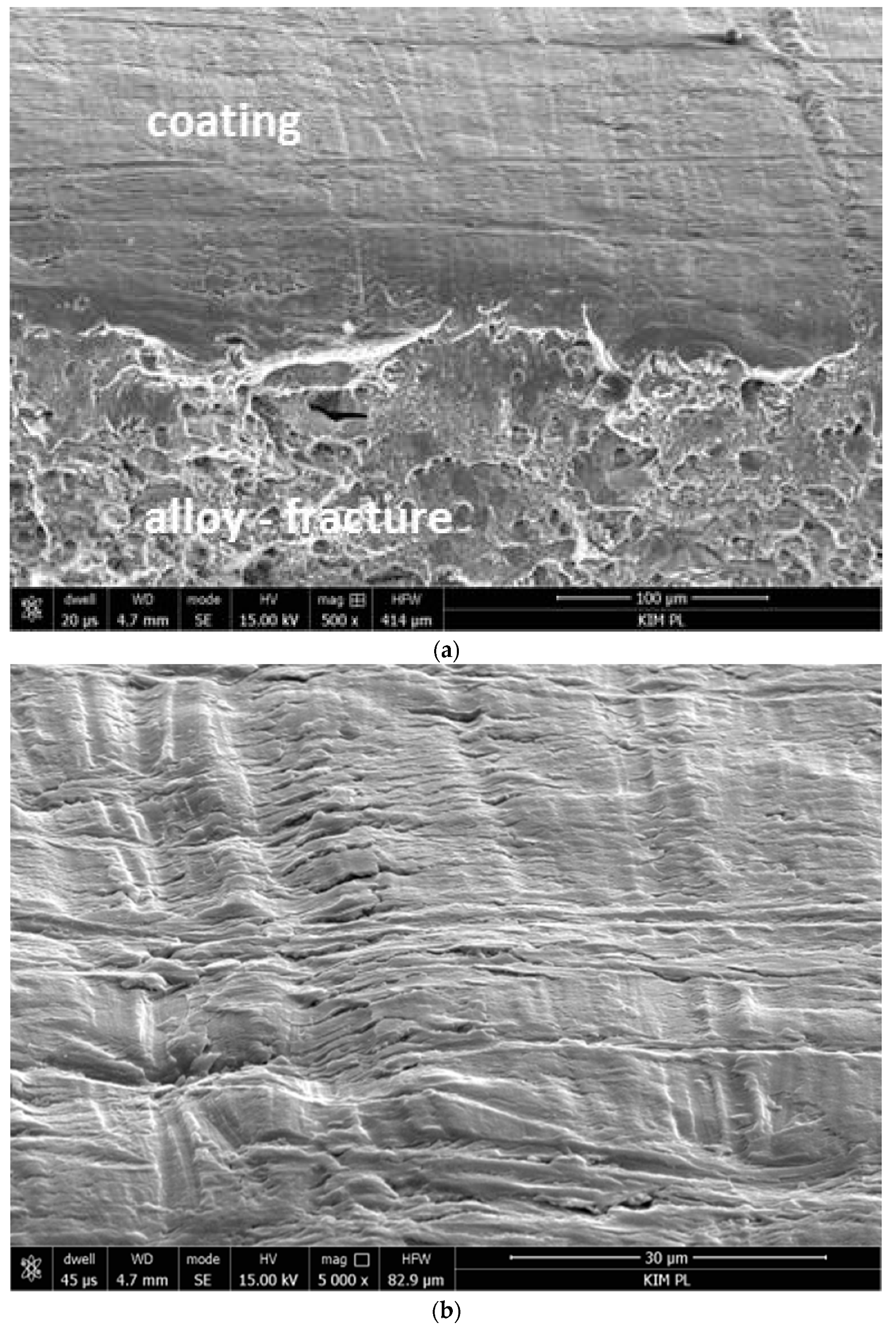 Materials 12 02362 g002 Materials 12 02362 g002