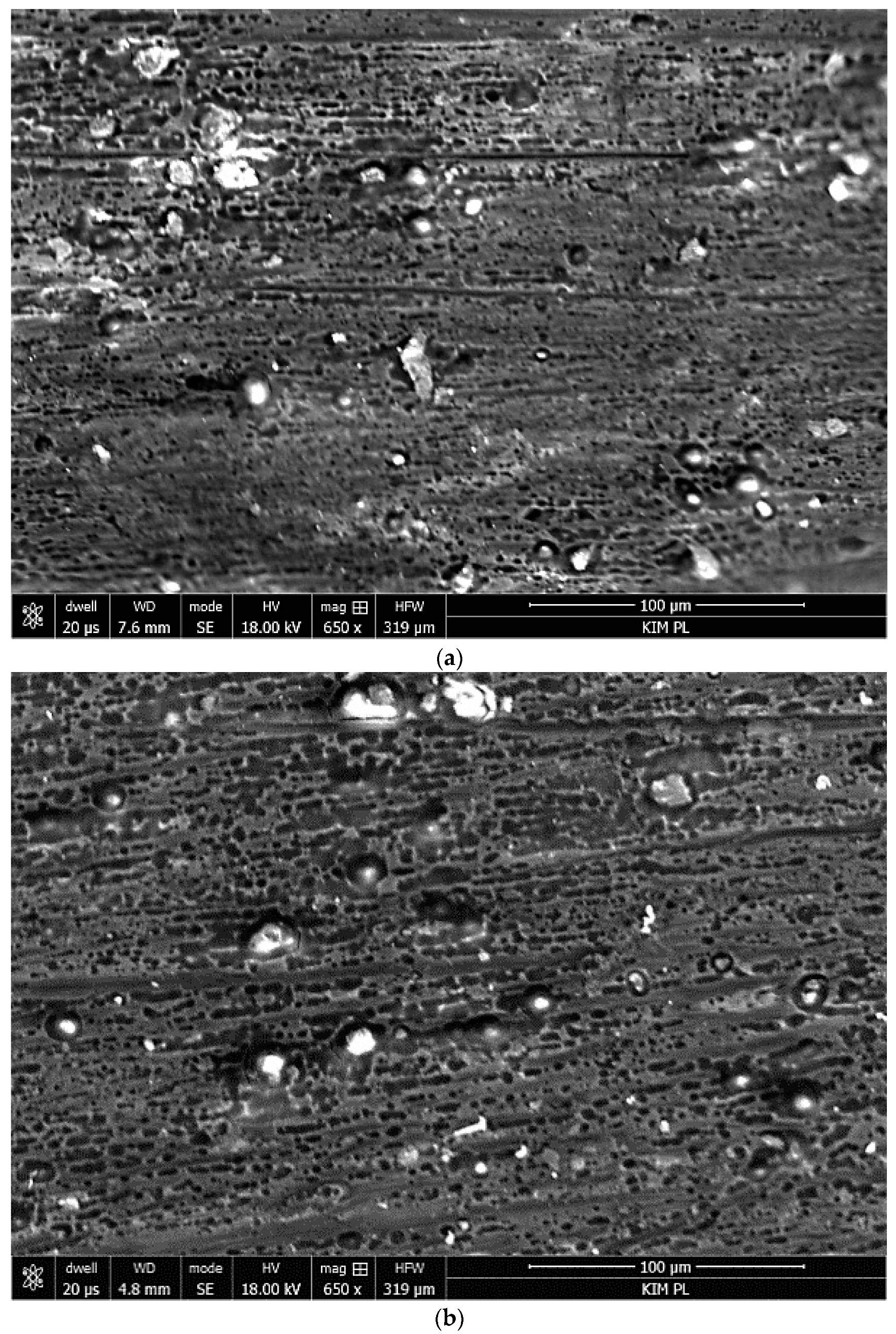 Materials 12 02362 g004a Materials 12 02362 g004a