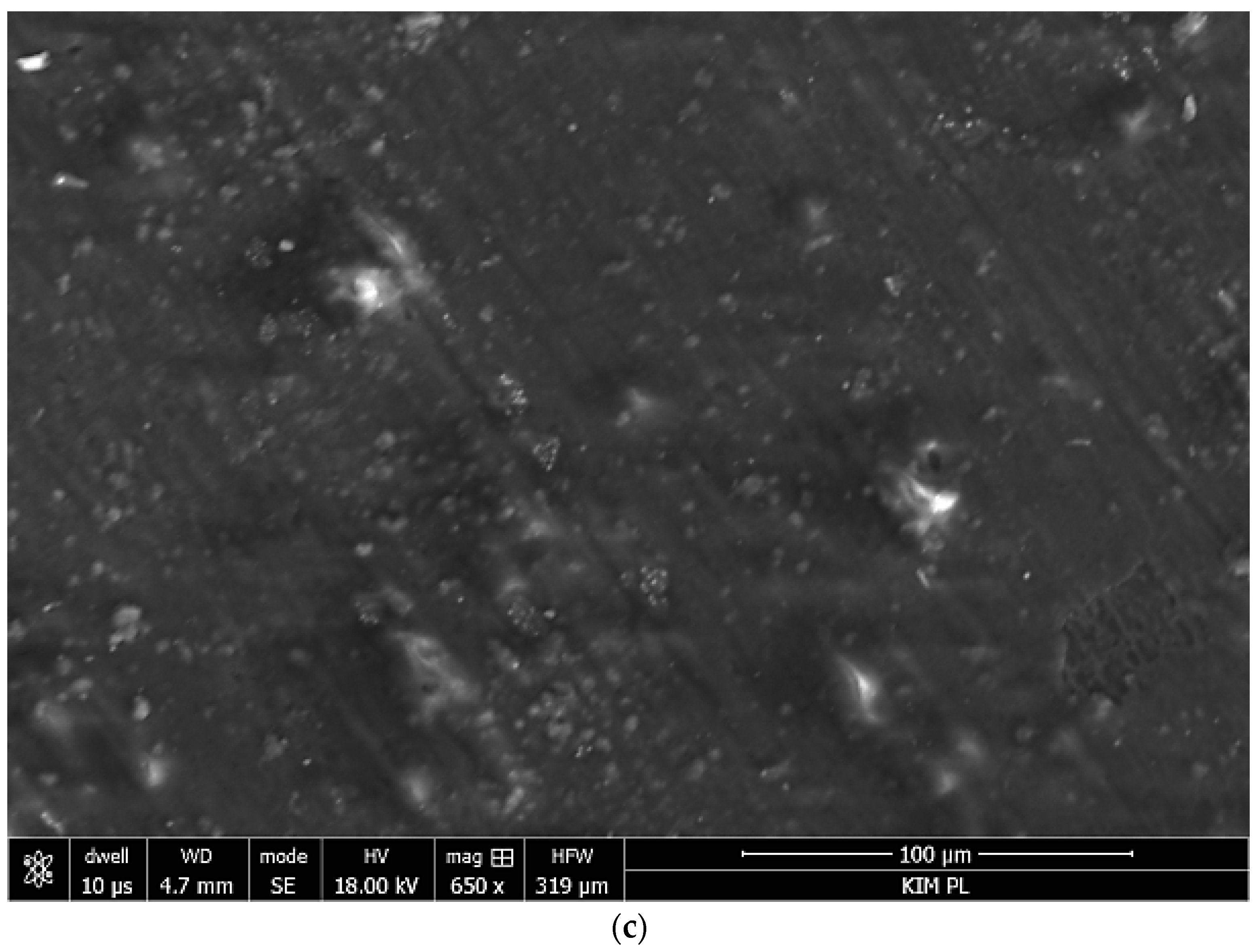 Materials 12 02362 g004b Materials 12 02362 g004b