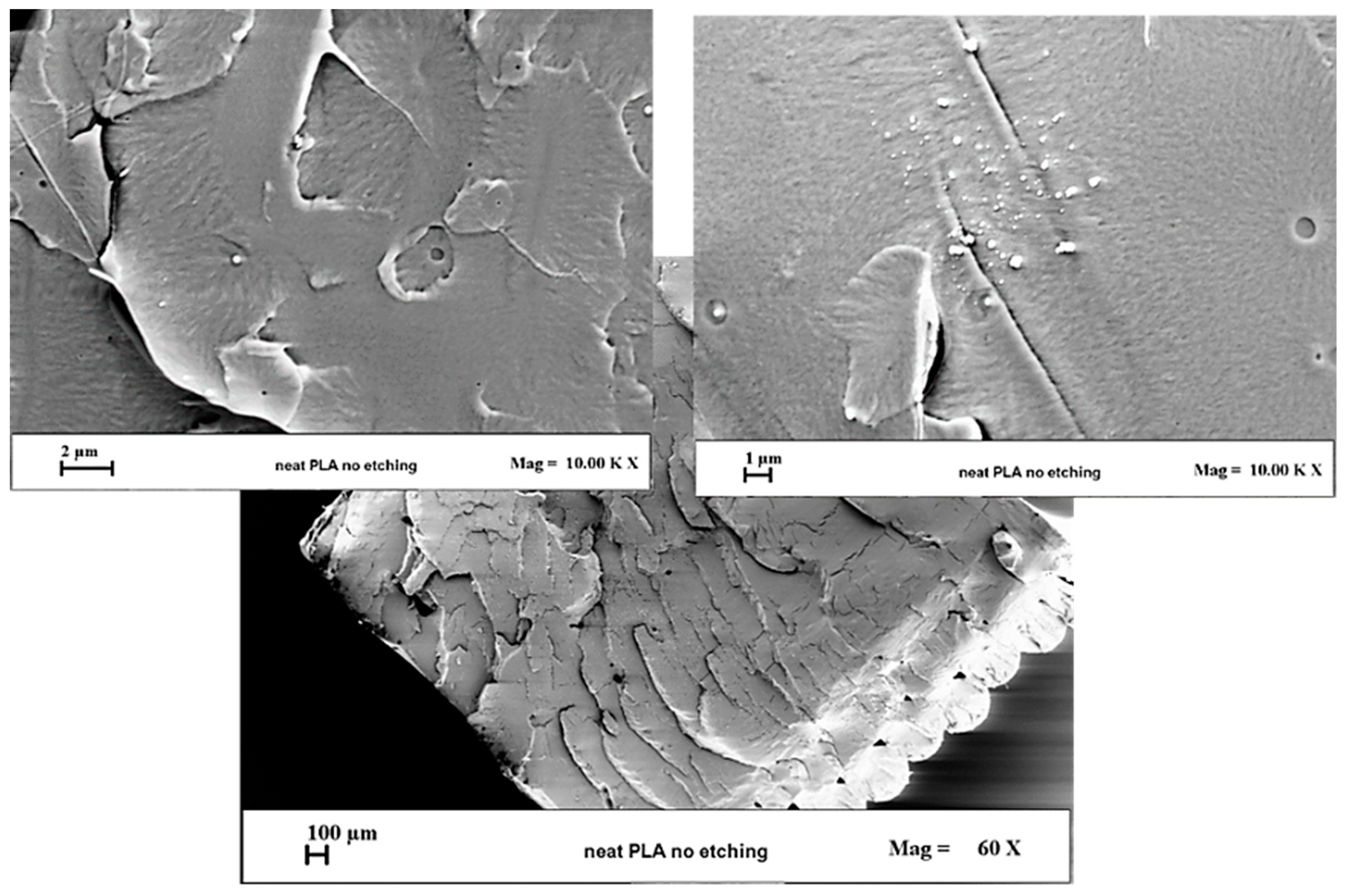 Materials 12 02369 g005