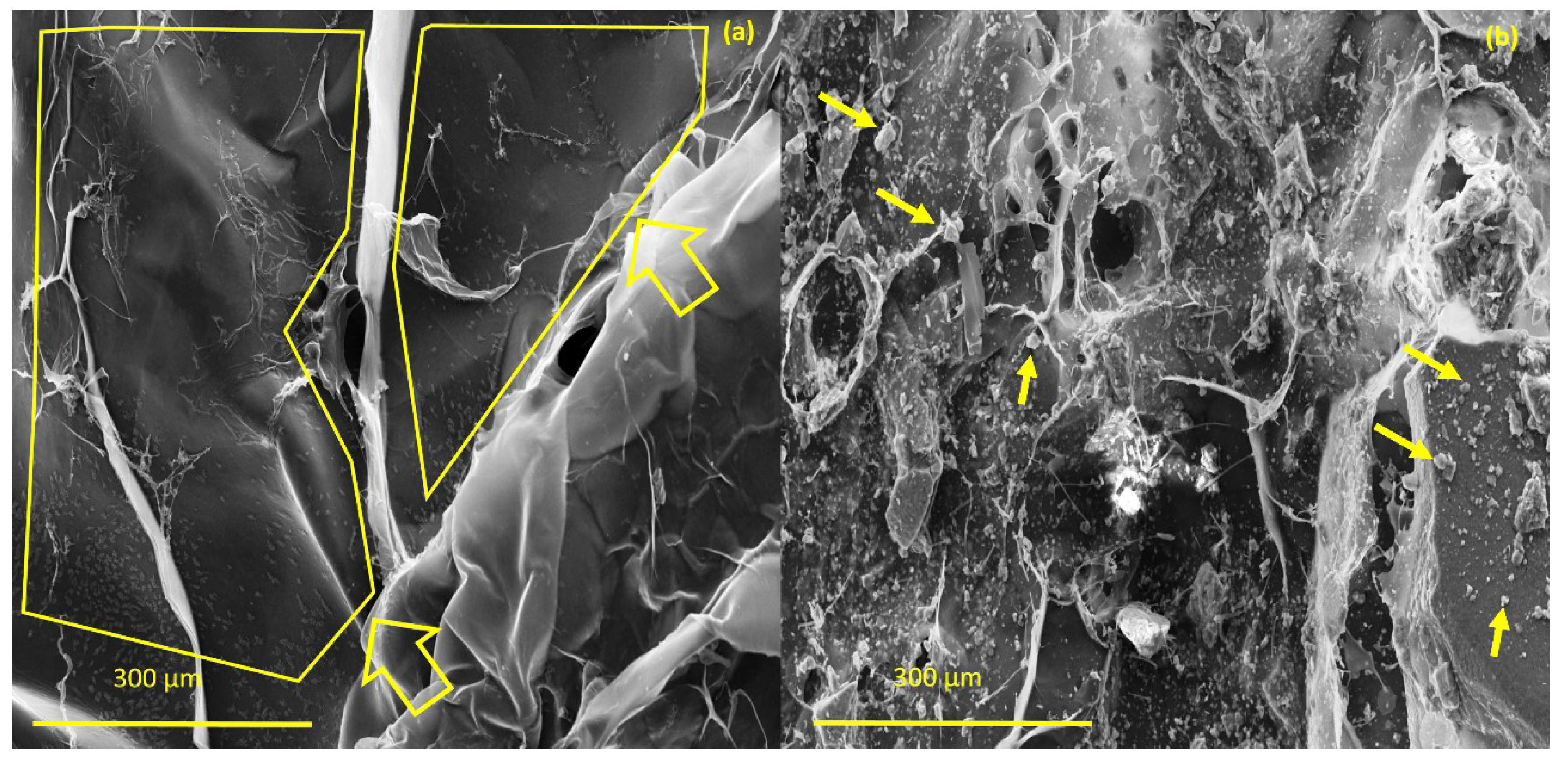 Materials 12 02389 g009