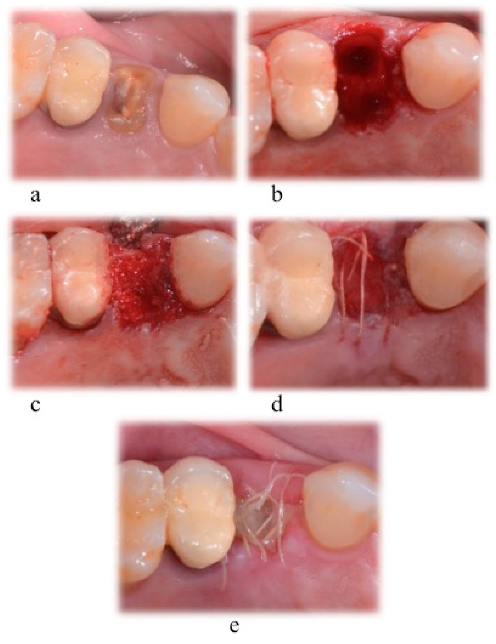 Materials 12 02408 g001