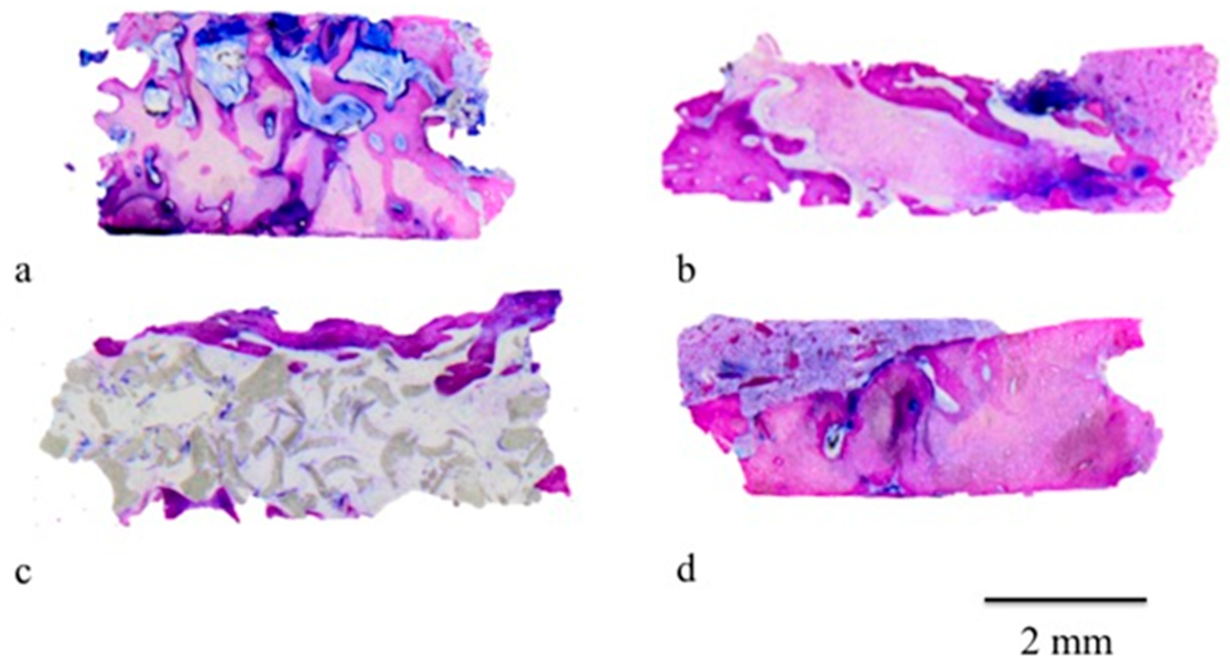 Materials 12 02408 g005