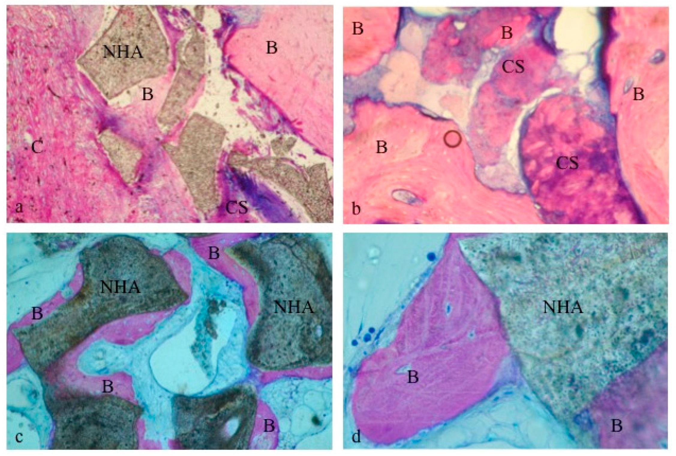 Materials 12 02408 g006