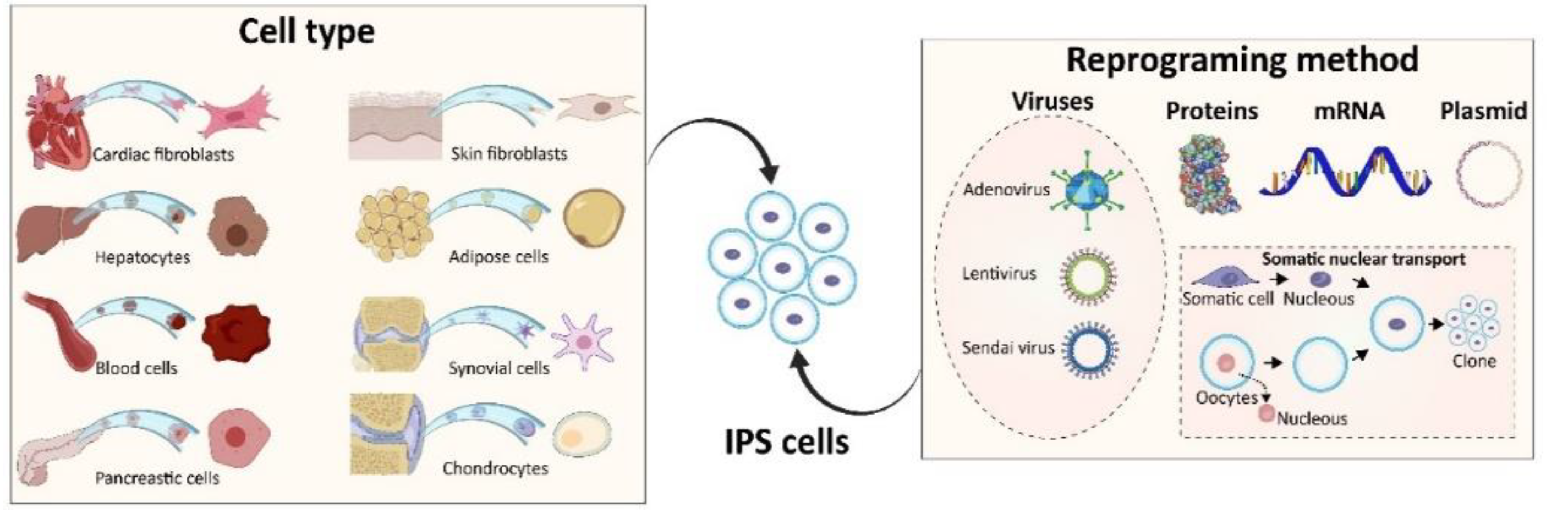 Materials 12 02453 g002
