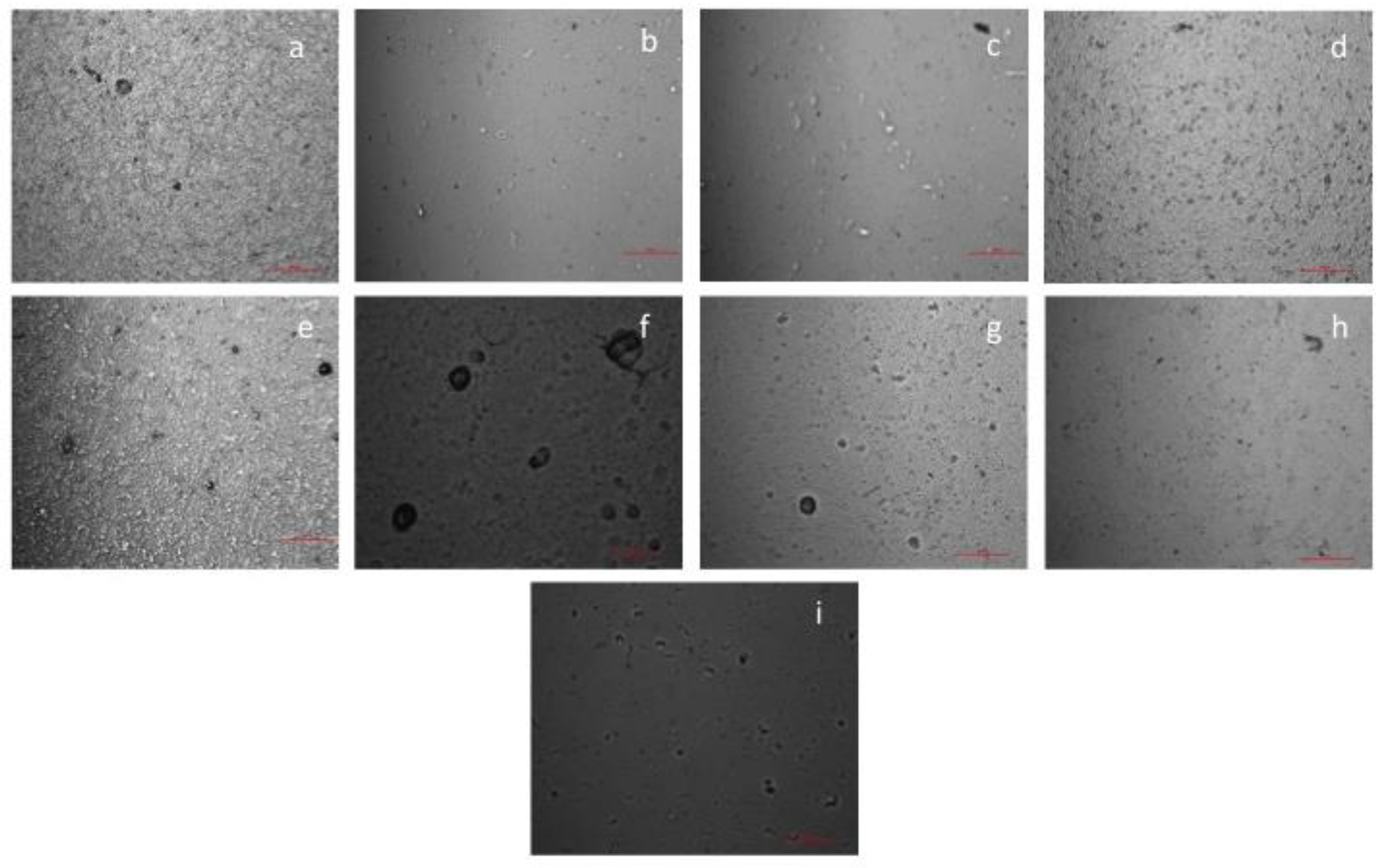 Materials 12 02454 g001