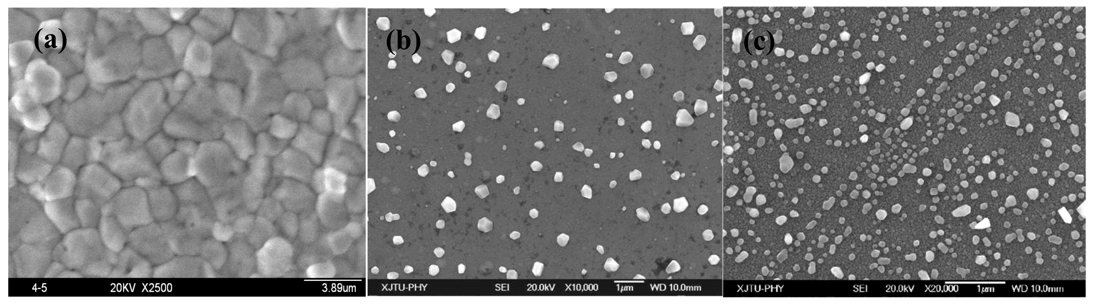 Materials 12 02467 g006